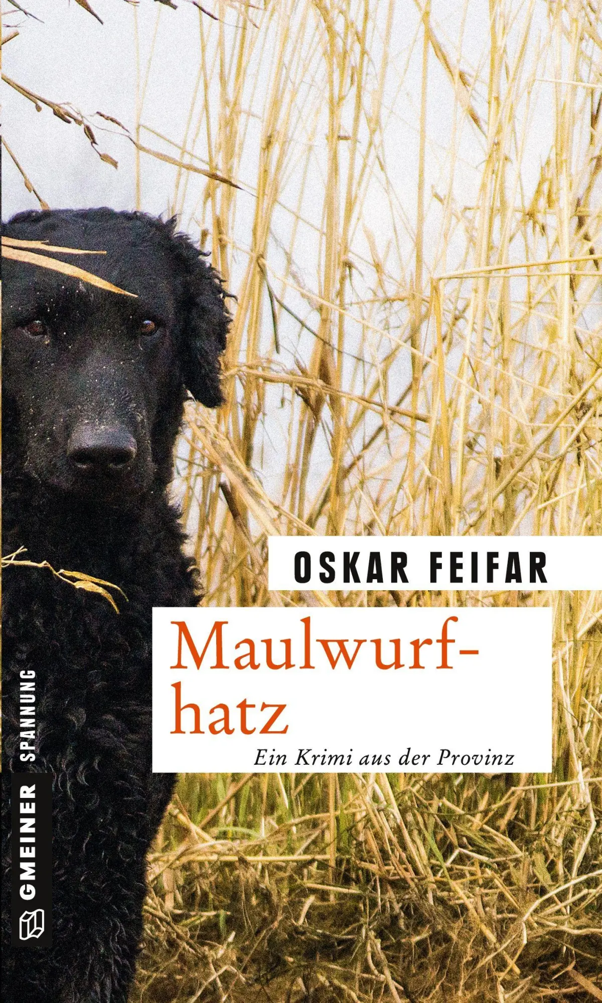 Cover: 9783839219294 | Maulwurfhatz | Oskar Feifar | Taschenbuch | 247 S. | Deutsch | 2016