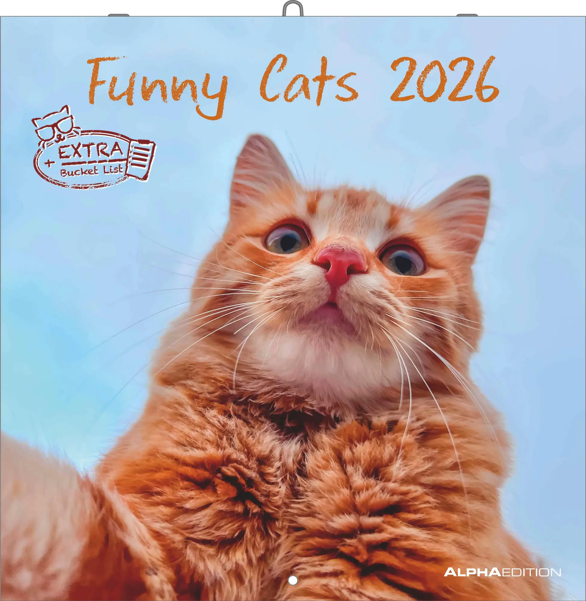 Cover: 4069095009394 | Funny Cats 2026 - Broschürenkalender 30x30 cm (30x60 geöffnet) -...