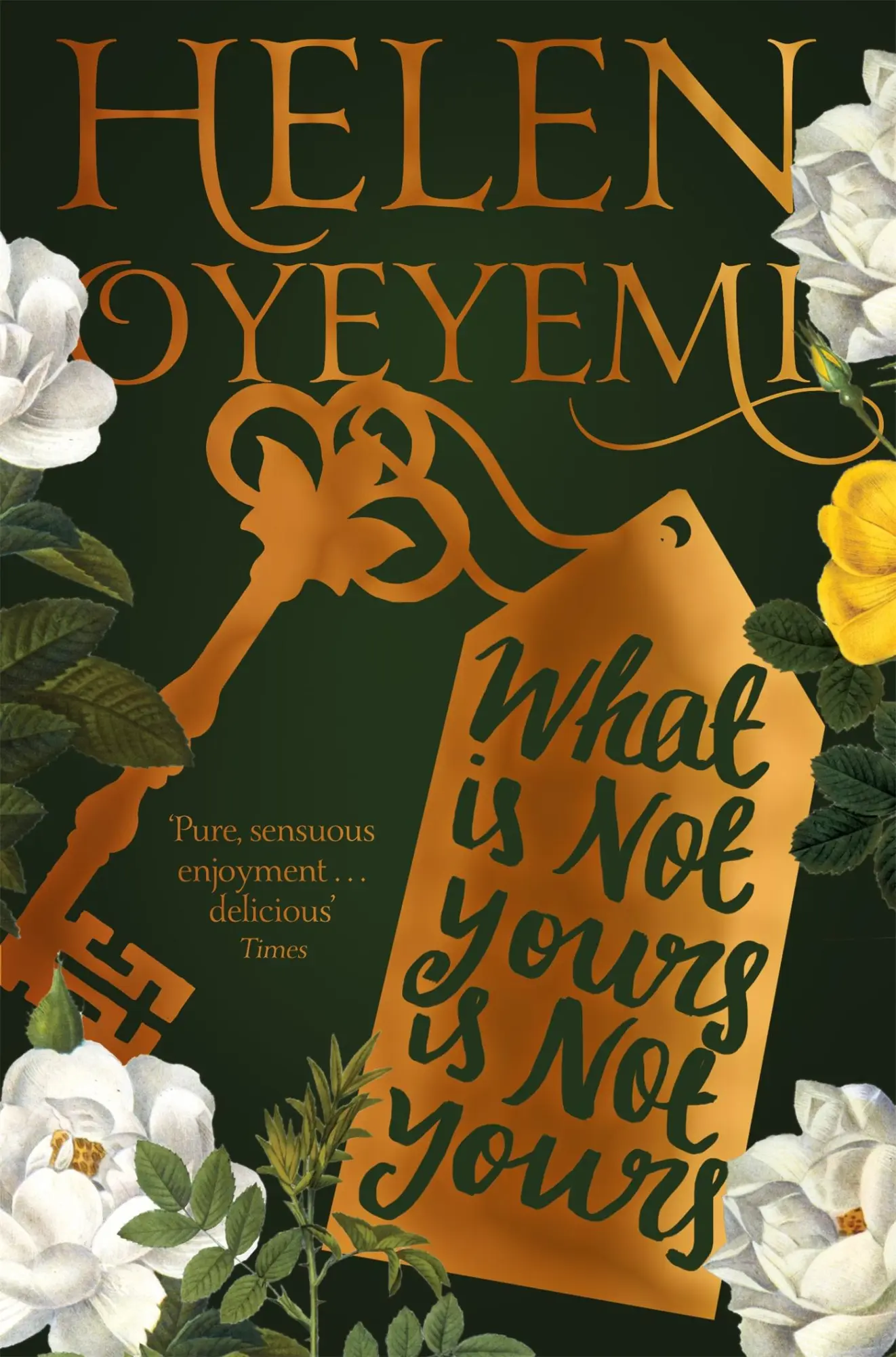 Cover: 9781447299394 | What Is Not Yours Is Not Yours | Helen Oyeyemi | Taschenbuch | 272 S.