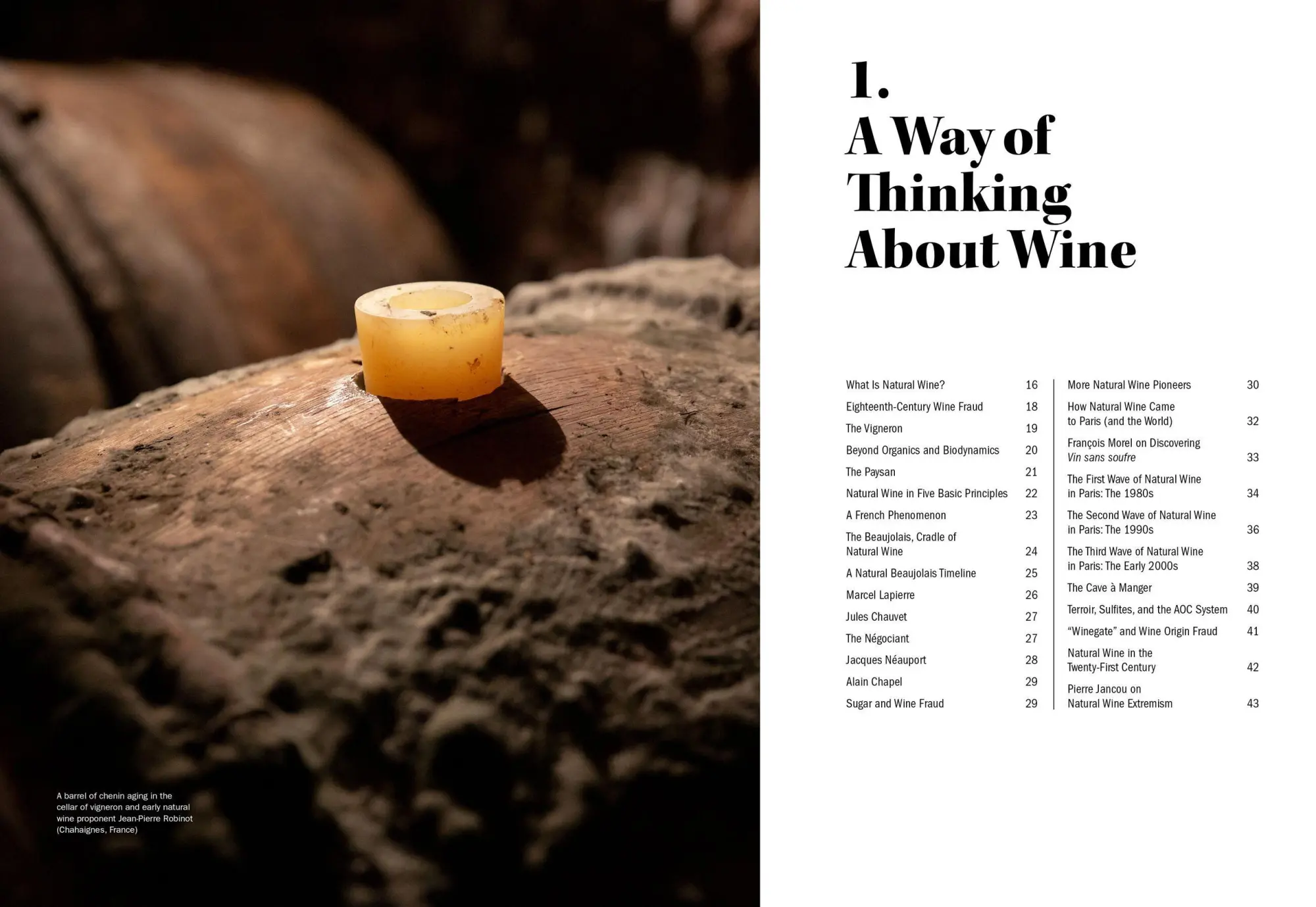 Bild: 9781579659394 | The World of Natural Wine | Aaron Ayscough | Buch | 440 S. | Englisch
