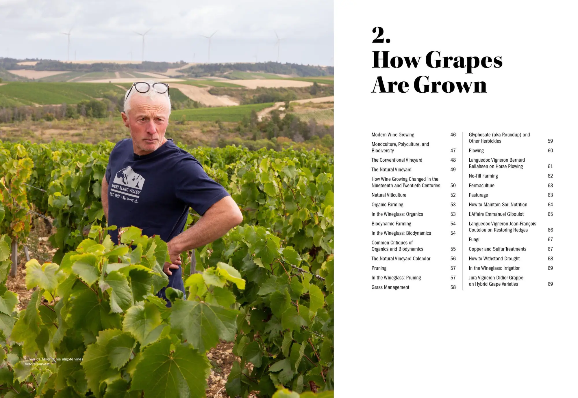 Bild: 9781579659394 | The World of Natural Wine | Aaron Ayscough | Buch | 440 S. | Englisch