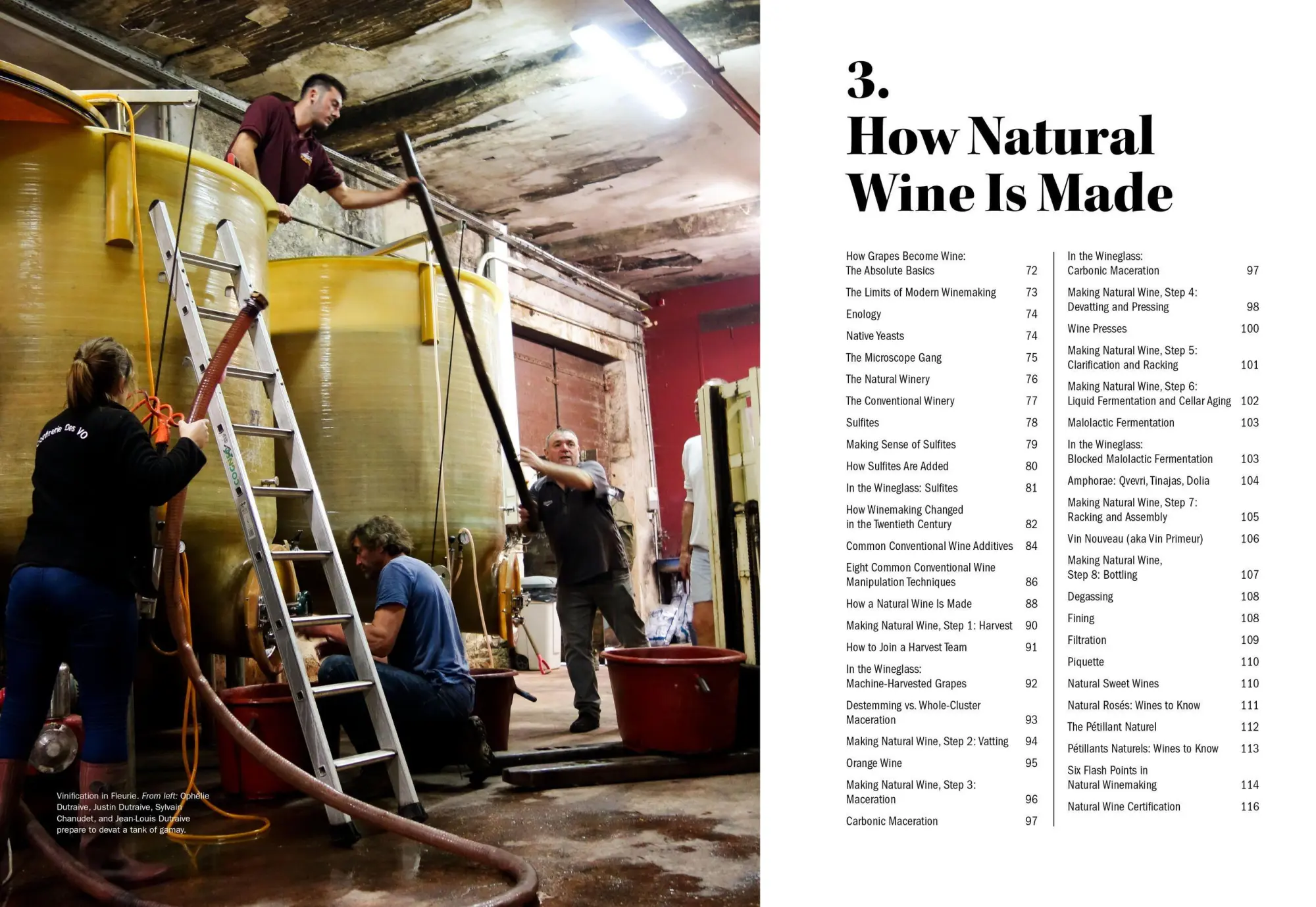 Bild: 9781579659394 | The World of Natural Wine | Aaron Ayscough | Buch | 440 S. | Englisch