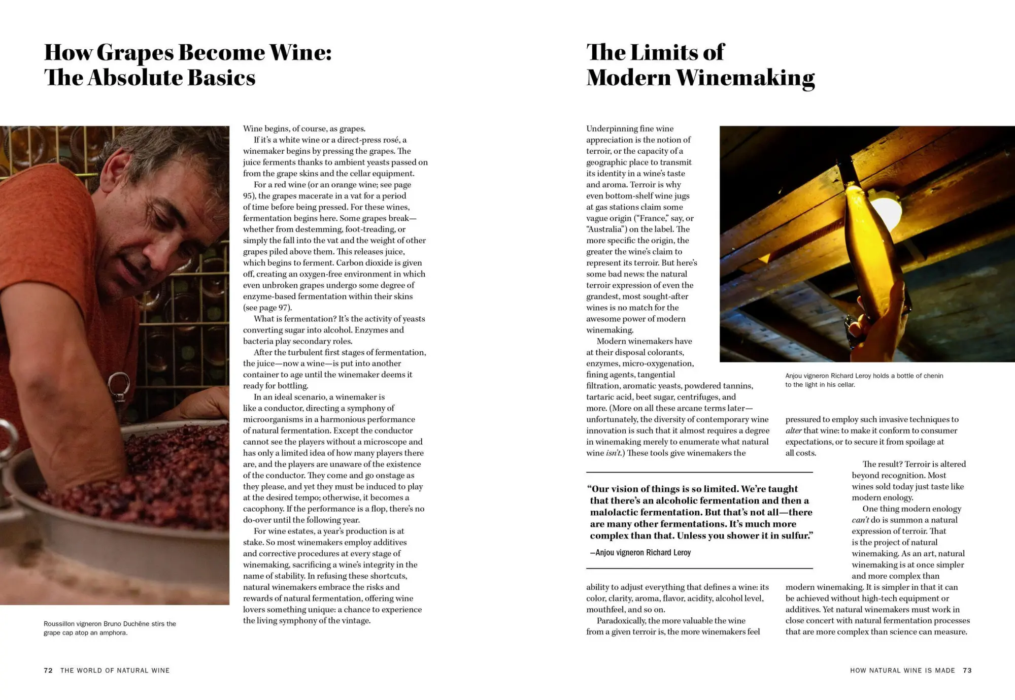 Bild: 9781579659394 | The World of Natural Wine | Aaron Ayscough | Buch | 440 S. | Englisch