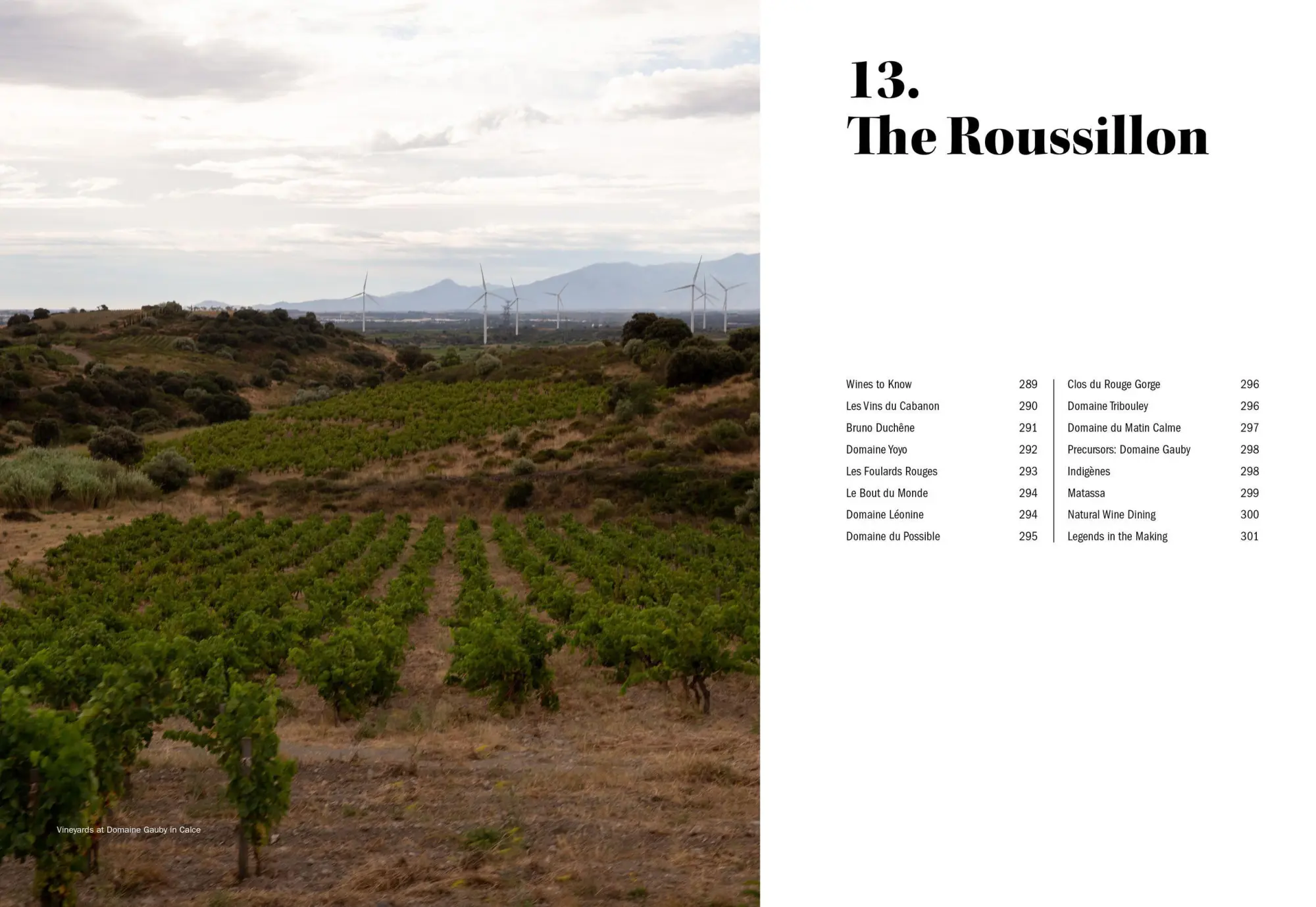 Bild: 9781579659394 | The World of Natural Wine | Aaron Ayscough | Buch | 440 S. | Englisch