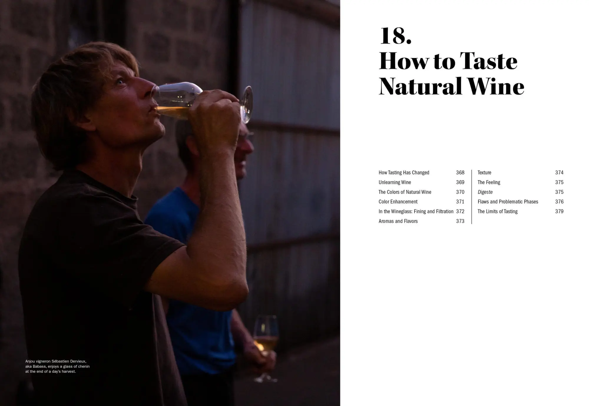 Bild: 9781579659394 | The World of Natural Wine | Aaron Ayscough | Buch | 440 S. | Englisch