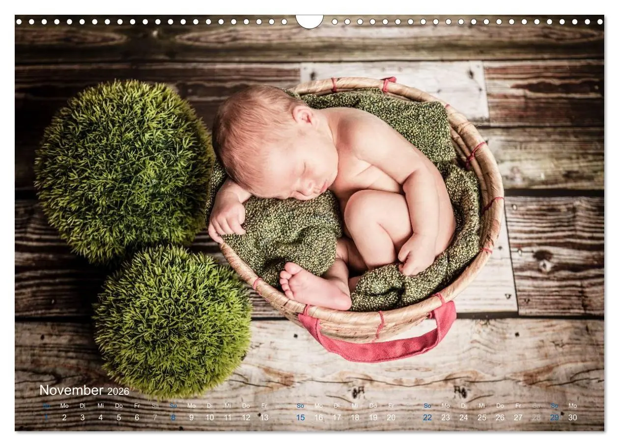 Bild: 9783516089394 | Baby - süße Träume (Wandkalender 2026 DIN A3 quer), CALVENDO...