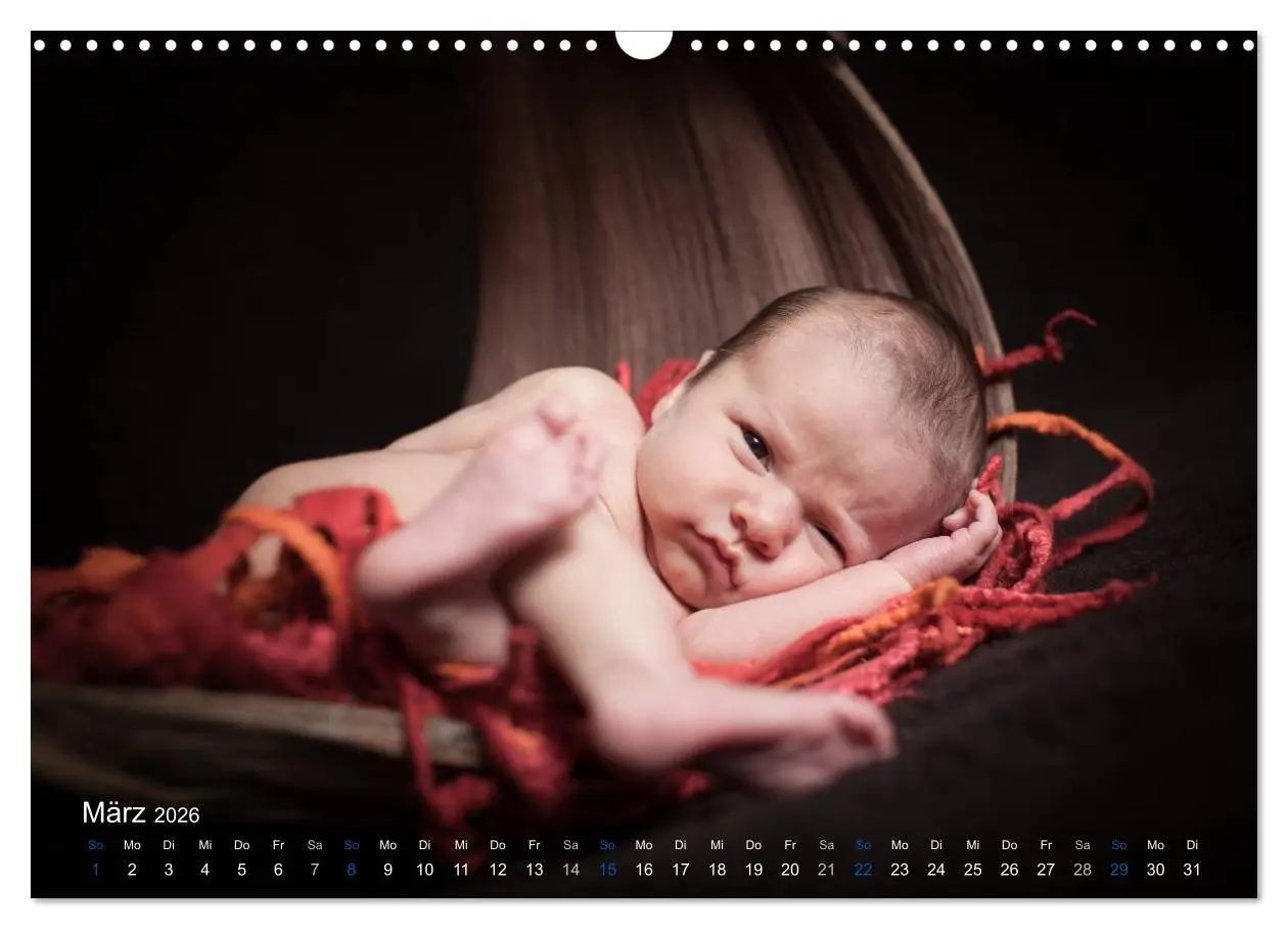 Bild: 9783516089394 | Baby - süße Träume (Wandkalender 2026 DIN A3 quer), CALVENDO...