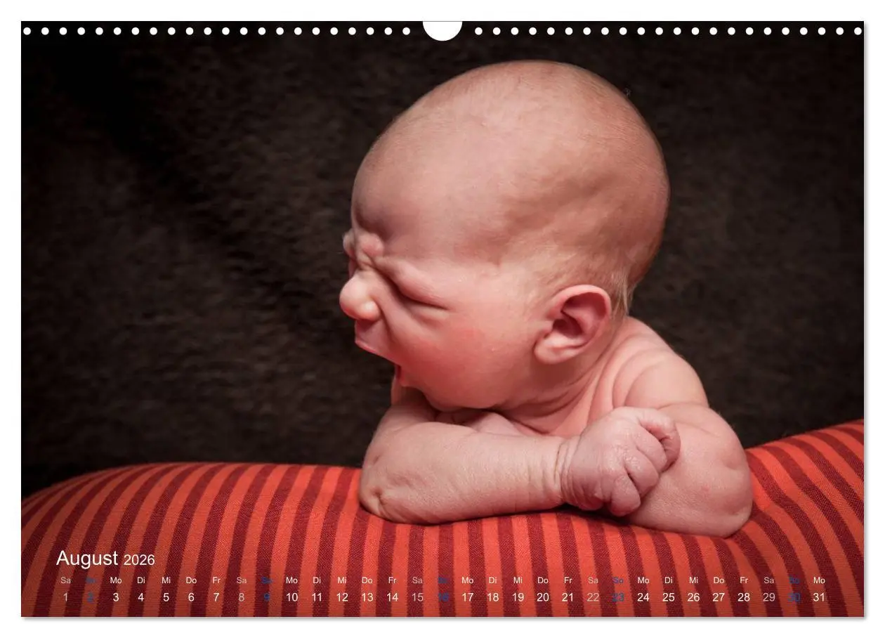 Bild: 9783516089394 | Baby - süße Träume (Wandkalender 2026 DIN A3 quer), CALVENDO...