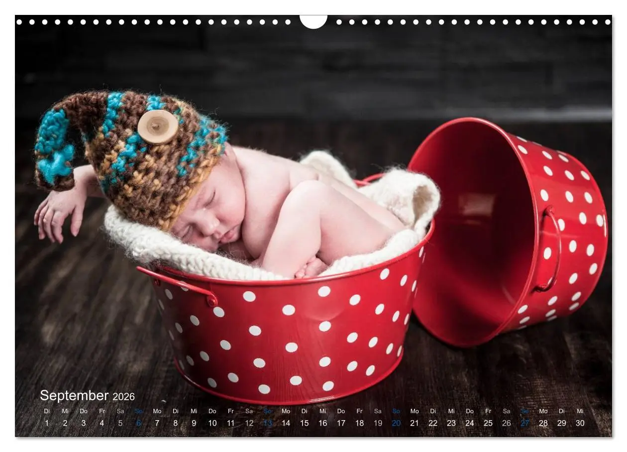 Bild: 9783516089394 | Baby - süße Träume (Wandkalender 2026 DIN A3 quer), CALVENDO...