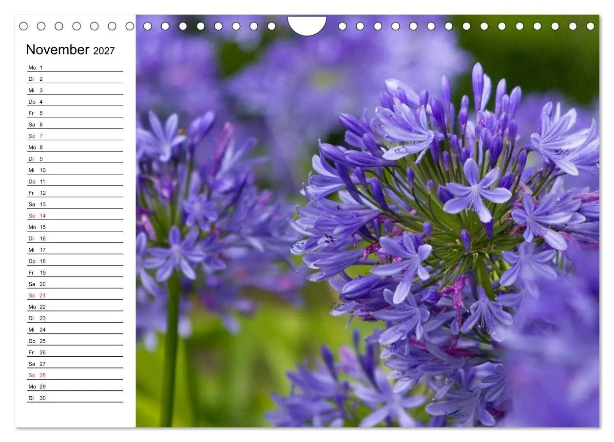 Bild: 9783569939394 | Azoren - São Miguel (Wandkalender 2027 DIN A4 quer), CALVENDO...