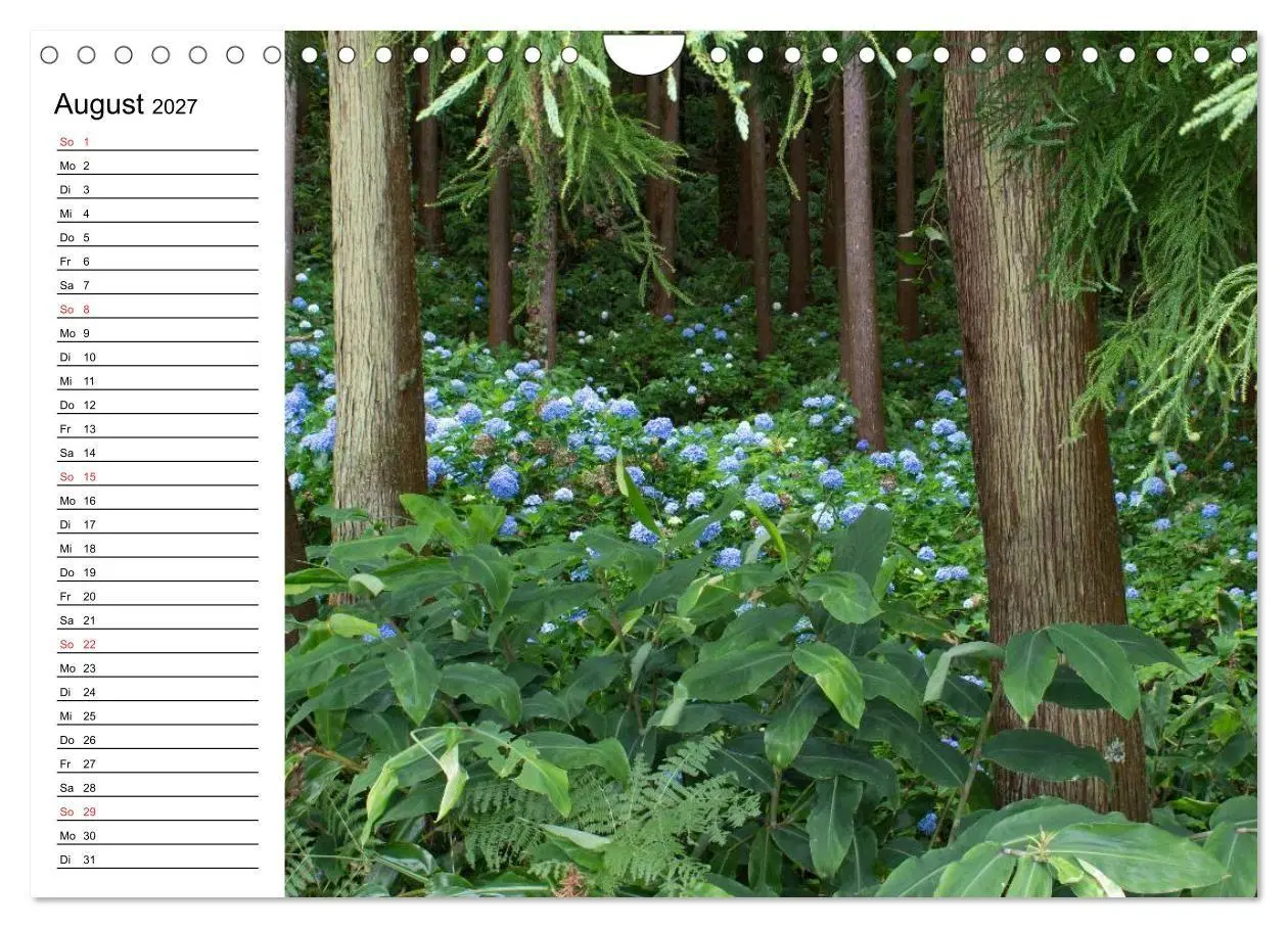 Bild: 9783569939394 | Azoren - São Miguel (Wandkalender 2027 DIN A4 quer), CALVENDO...