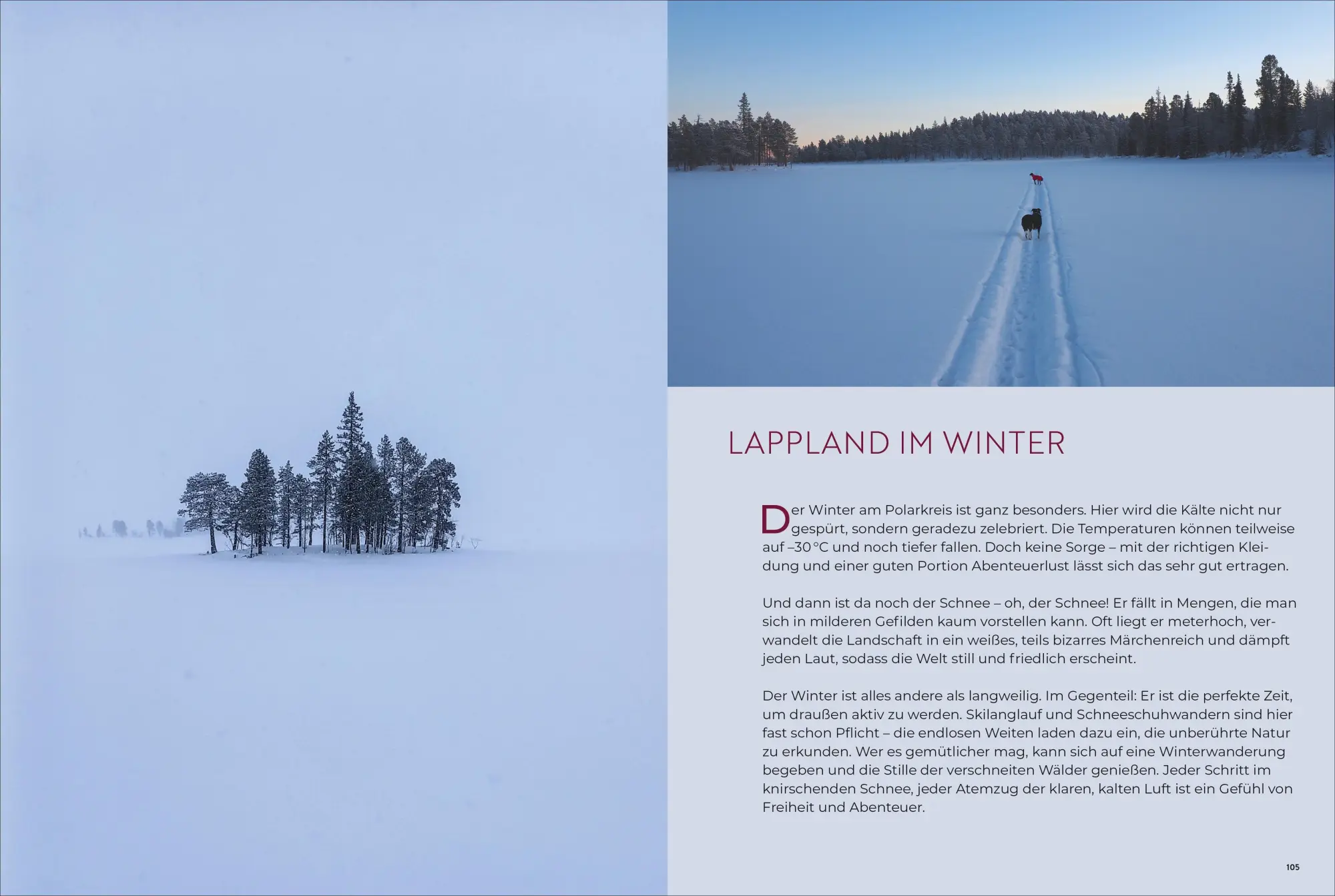 Bild: 9783959619394 | Weihnachtszeit in Lappland | Annika Rask | Buch | 224 S. | Deutsch