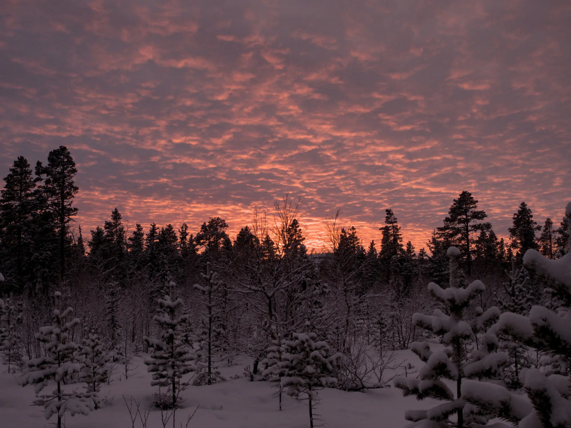 Bild: 9783959619394 | Weihnachtszeit in Lappland | Annika Rask | Buch | 224 S. | Deutsch