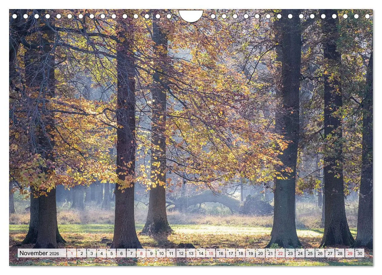 Bild: 9783457819494 | Norddeutsche Landschaften (Wandkalender 2026 DIN A4 quer), CALVENDO...
