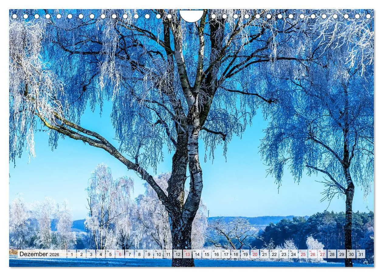 Bild: 9783457819494 | Norddeutsche Landschaften (Wandkalender 2026 DIN A4 quer), CALVENDO...