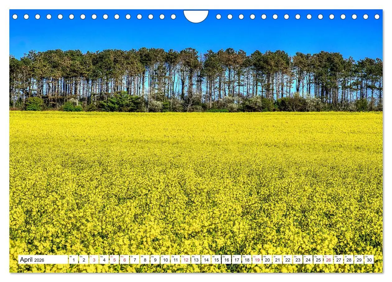 Bild: 9783457819494 | Norddeutsche Landschaften (Wandkalender 2026 DIN A4 quer), CALVENDO...