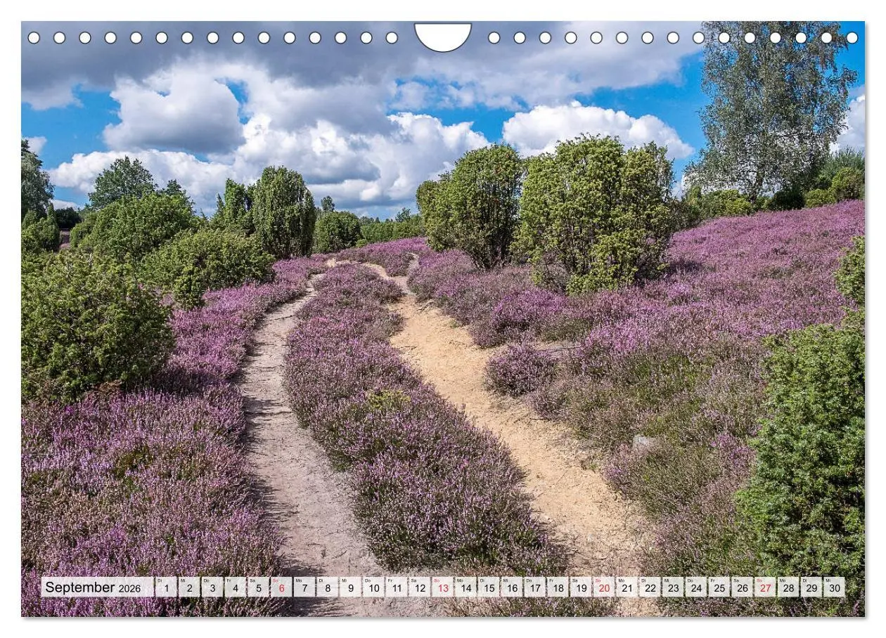 Bild: 9783457819494 | Norddeutsche Landschaften (Wandkalender 2026 DIN A4 quer), CALVENDO...