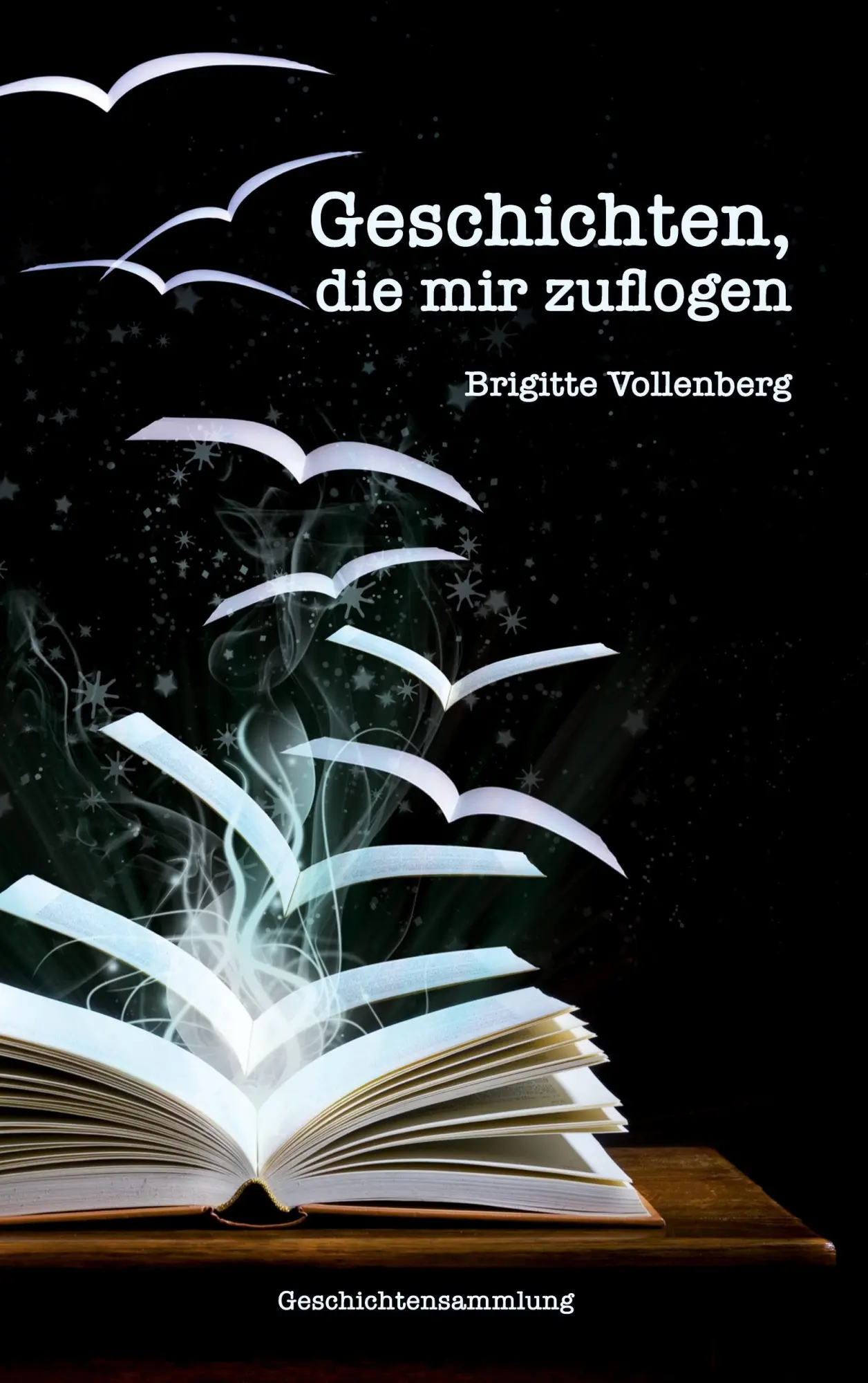 Cover: 9783752829594 | Geschichten, die mir zuflogen | Brigitte Vollenberg | Taschenbuch