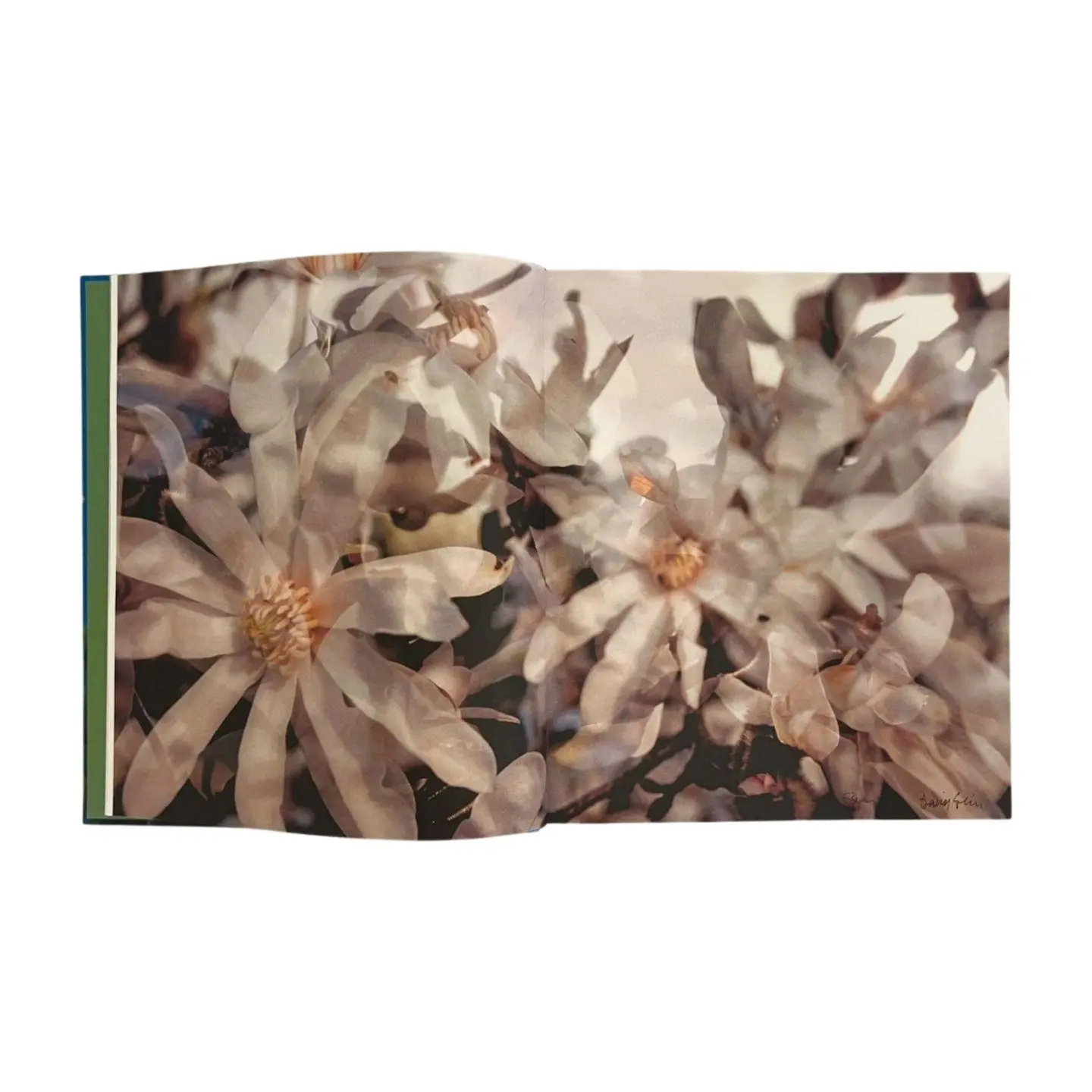 Bild: 9783777439594 | Flowers! | Blumen in der Kunst des 20. und 21. Jahrhunderts | Buch