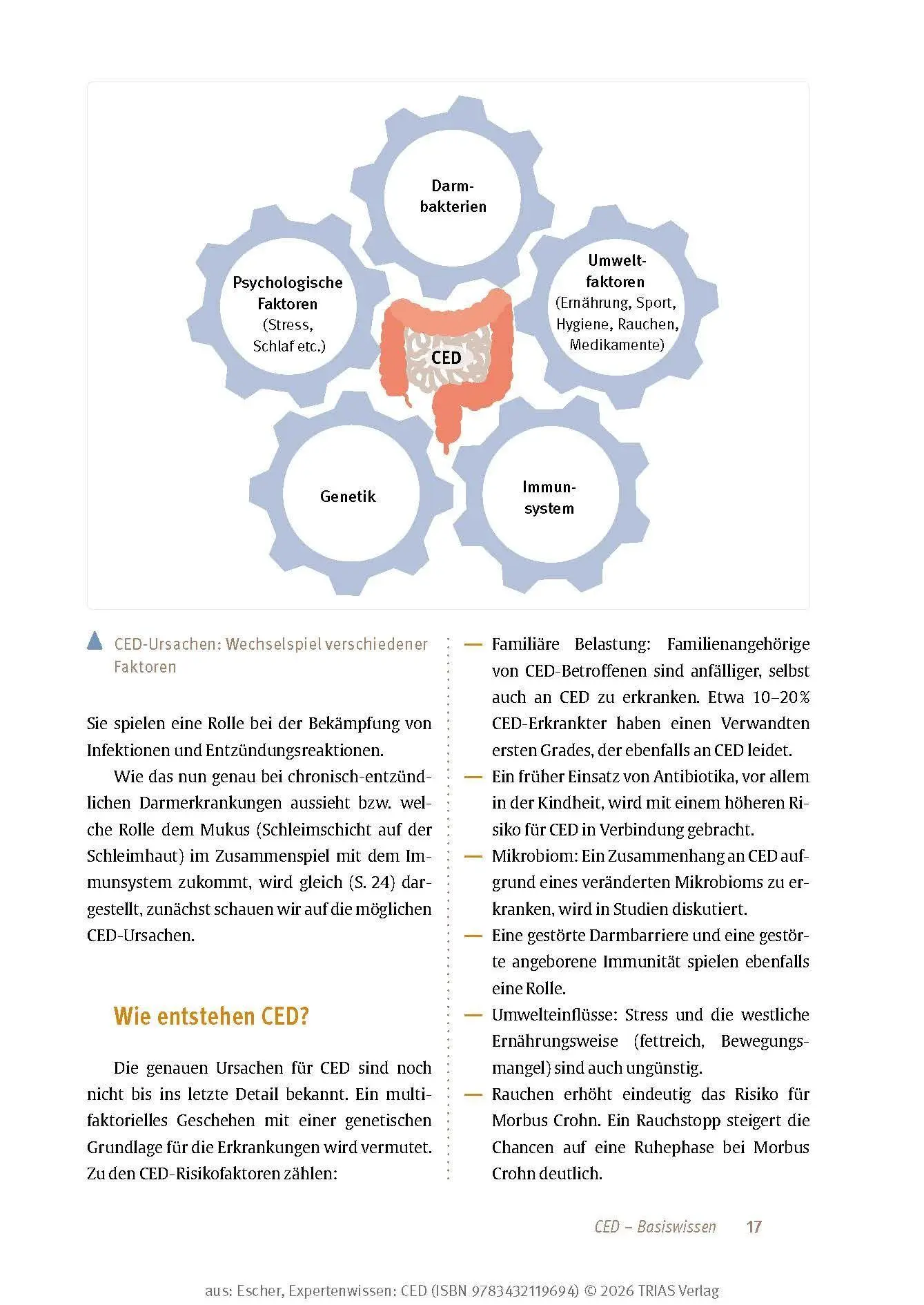 Bild: 9783432119694 | Expertenwissen: CED | Taschenbuch | TRIAS Expertenwissen | 176 S.