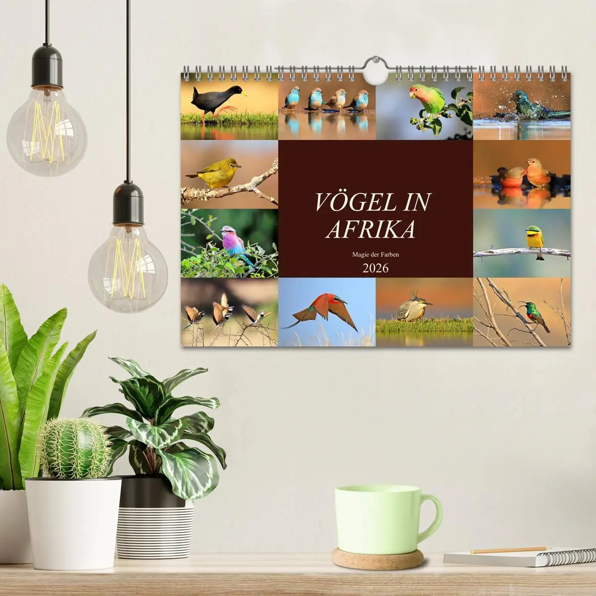 Bild: 9783516129694 | Vögel in Afrika - Magie der Farben (Wandkalender 2026 DIN A4 quer),...