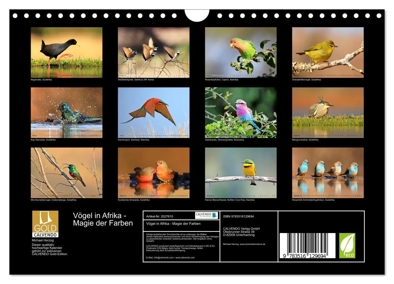Bild: 9783516129694 | Vögel in Afrika - Magie der Farben (Wandkalender 2026 DIN A4 quer),...