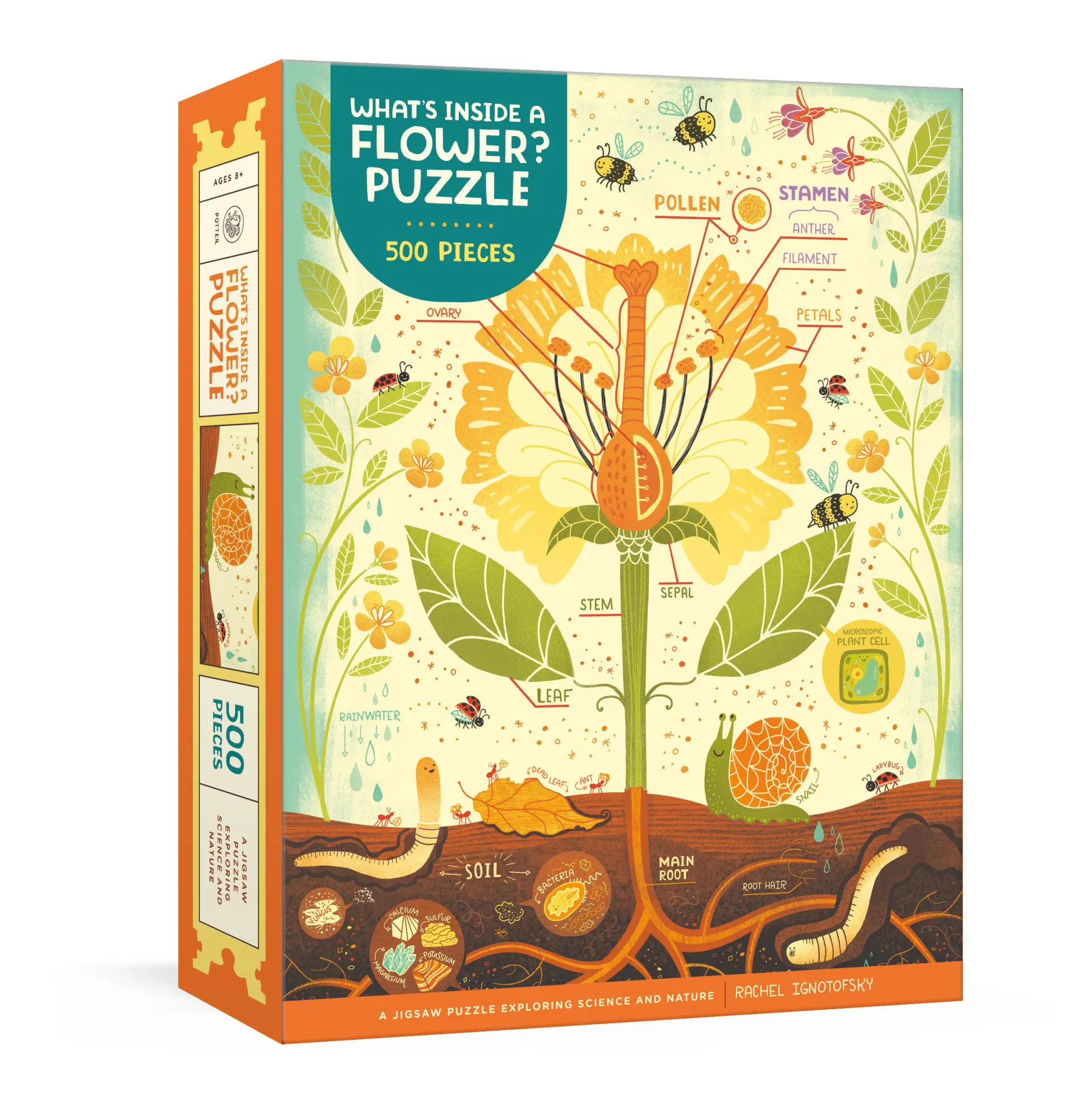Cover: 9780593579794 | What's Inside a Flower? Puzzle | Rachel Ignotofsky | Spiel | Englisch