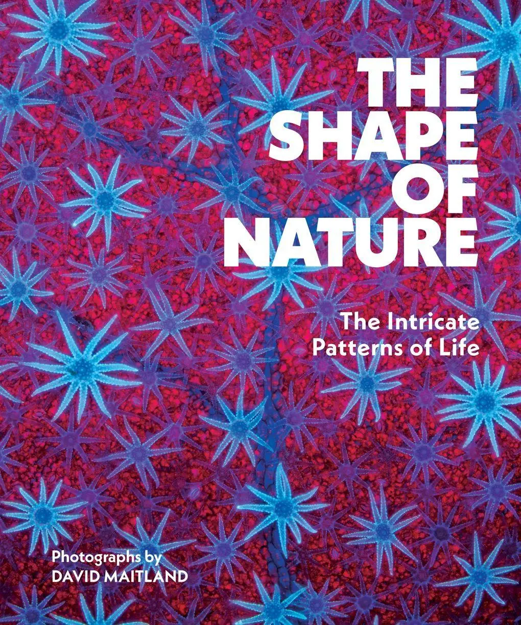 Cover: 9781419779794 | The Shape of Nature | The Intricate Patterns of Life | David Maitland