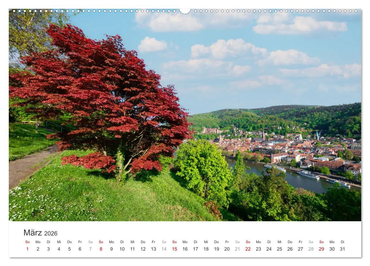 Bild: 9783457269794 | Heidelberg im Fokus (hochwertiger Premium Wandkalender 2026 DIN A2...