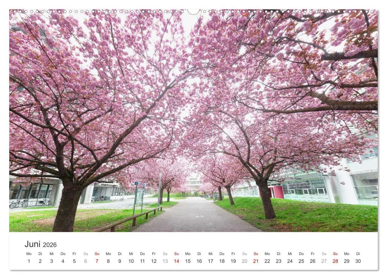 Bild: 9783457269794 | Heidelberg im Fokus (hochwertiger Premium Wandkalender 2026 DIN A2...