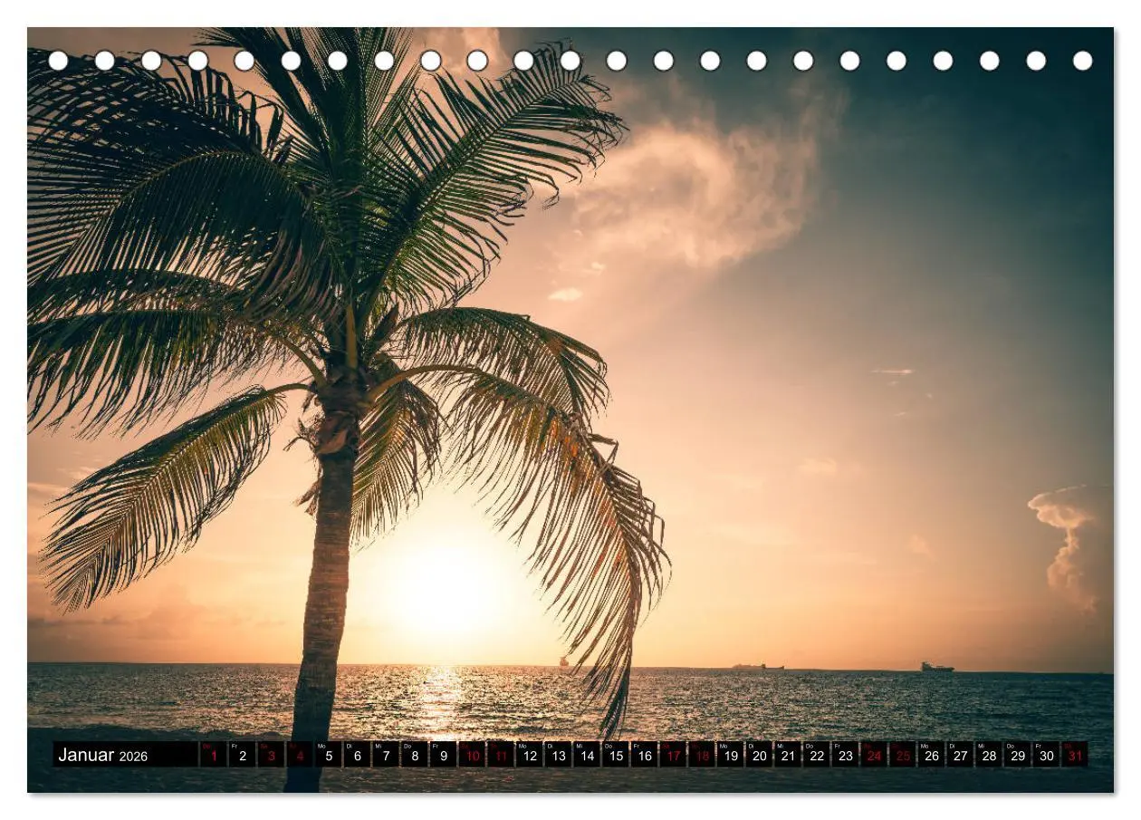 Bild: 9783457889794 | Florida. Der Sonne entgegen. (Tischkalender 2026 DIN A5 quer),...