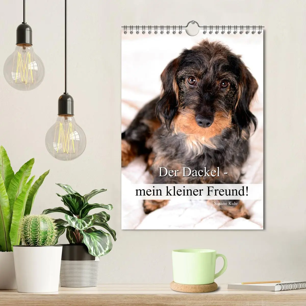 Bild: 9783516429794 | Der Dackel - mein kleiner Freund (Wandkalender 2026 DIN A4 hoch),...