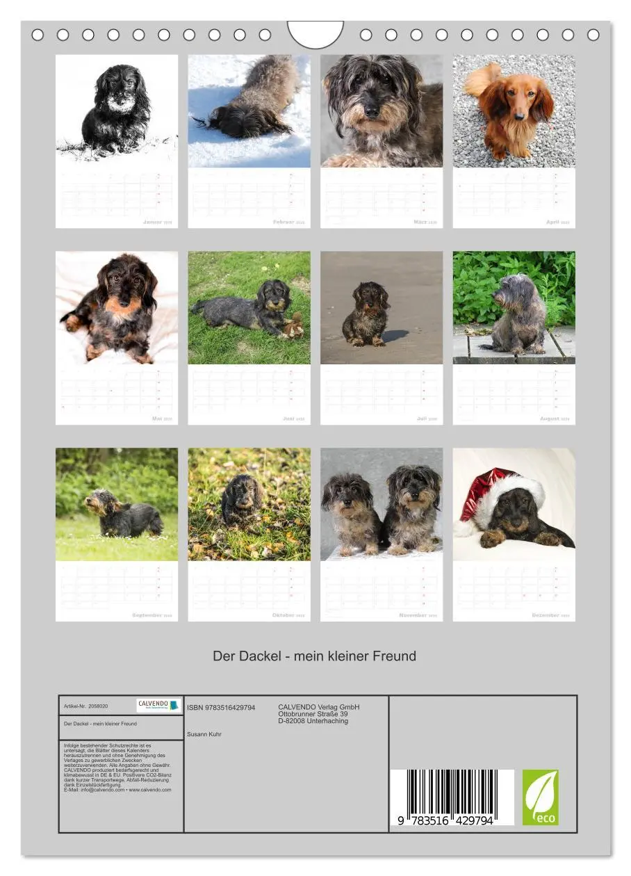 Bild: 9783516429794 | Der Dackel - mein kleiner Freund (Wandkalender 2026 DIN A4 hoch),...