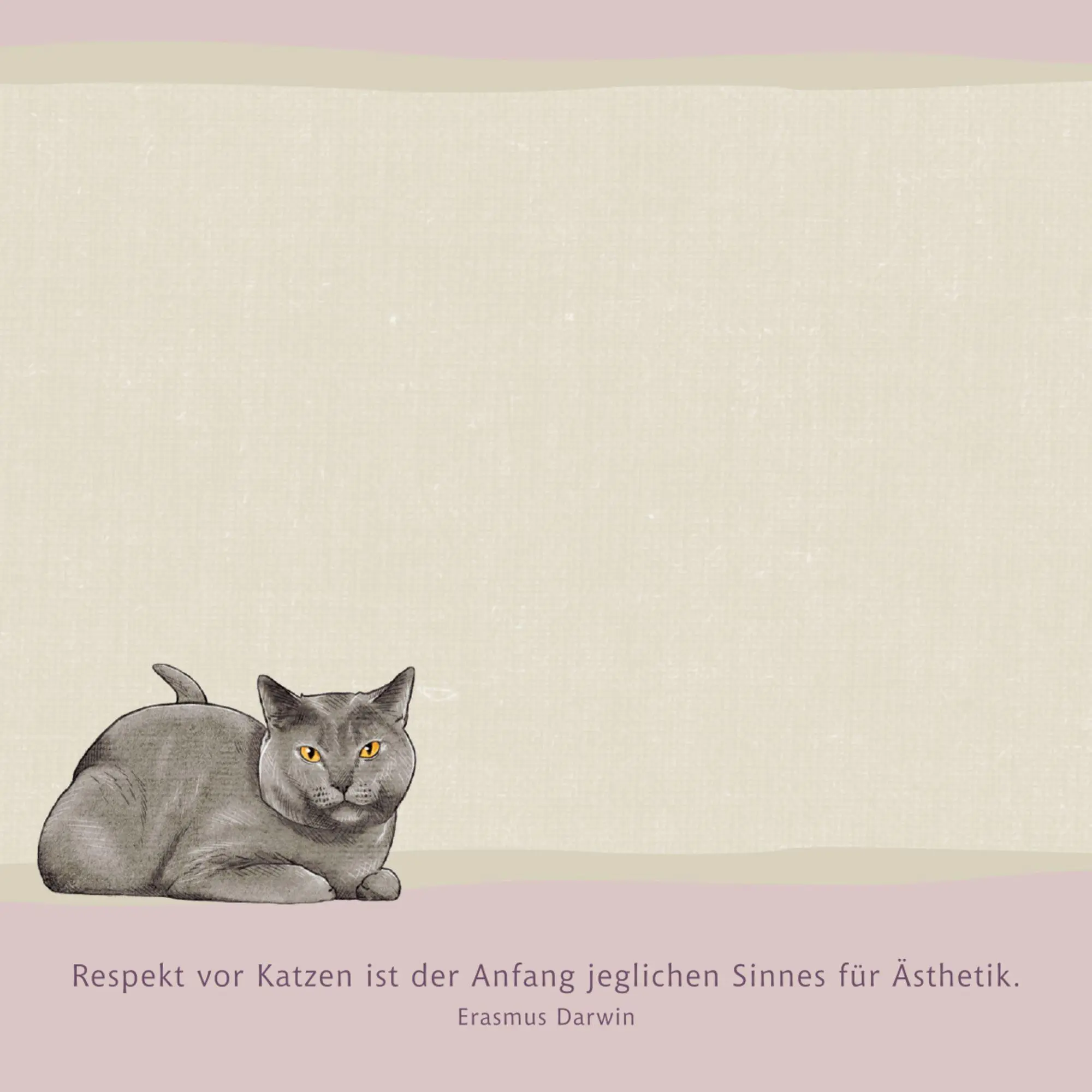 Bild: 4050003959894 | Zettelkästchen - I love cats | Julia Gerigk | Taschenbuch | 300 S.