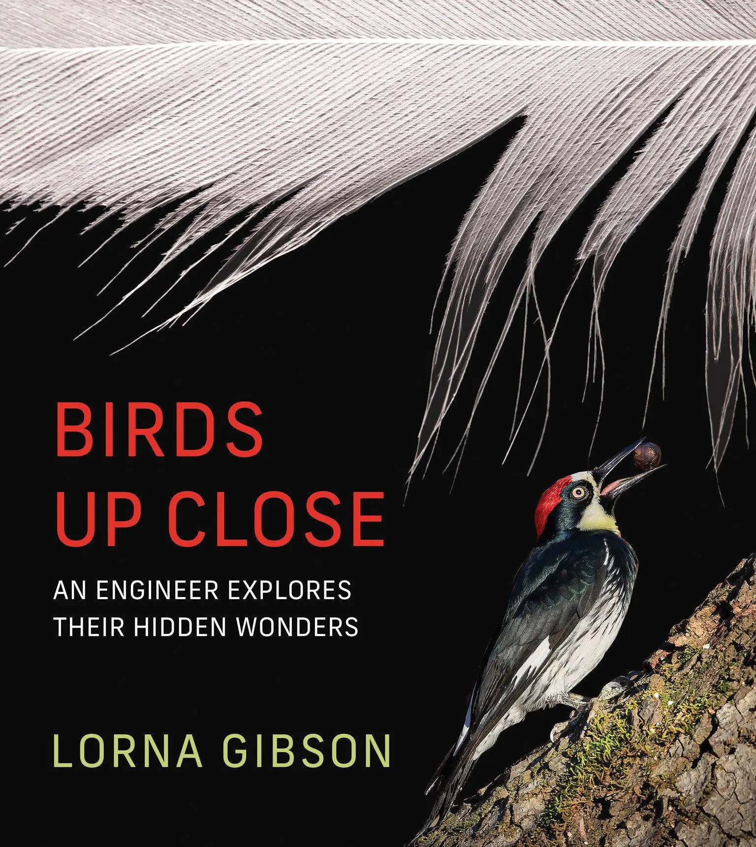 Cover: 9780262049894 | Birds Up Close | An Engineer Explores Their Hidden Wonders | Gibson