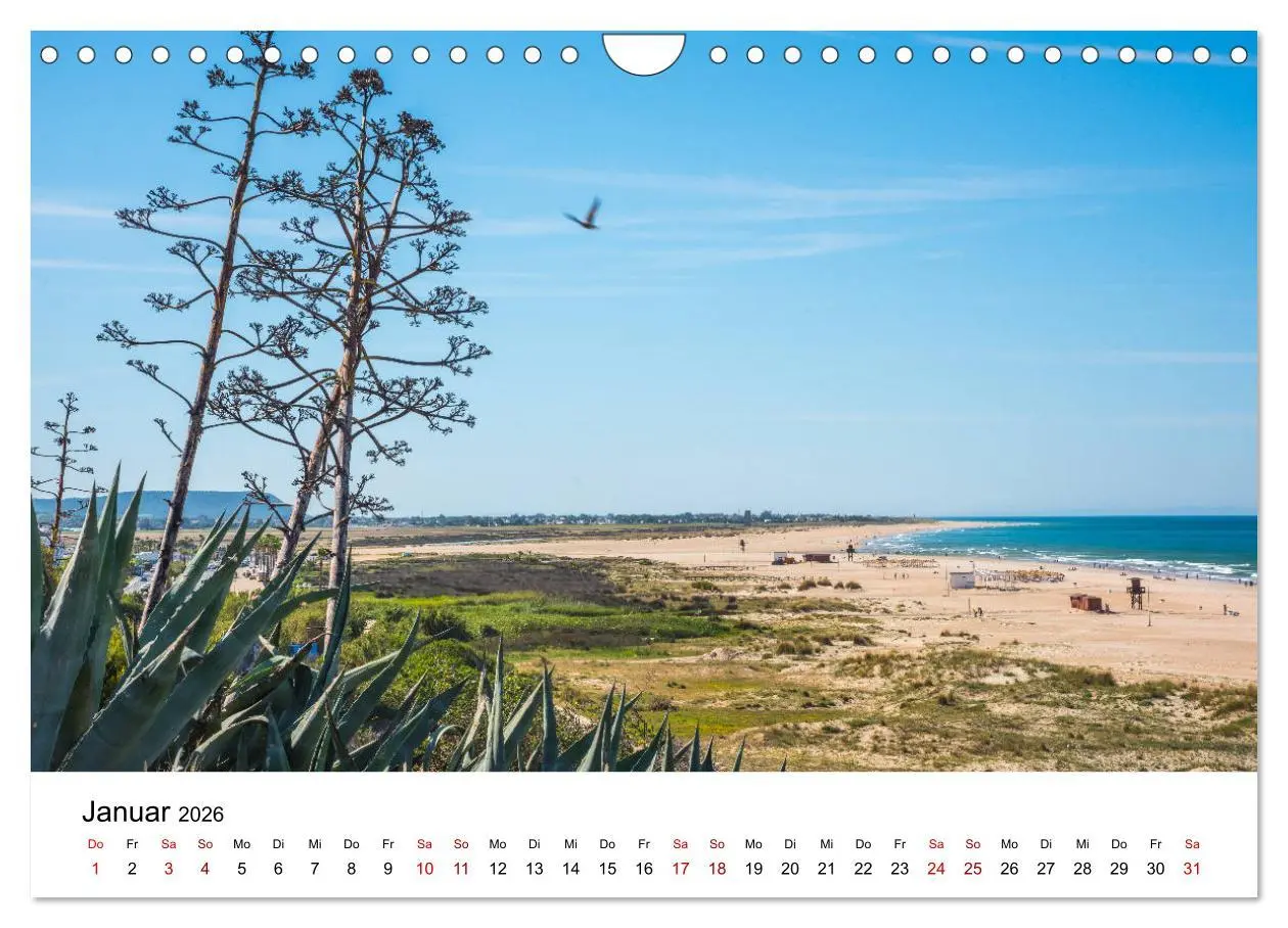 Bild: 9783457879894 | Andalusien - Landschaften rund um Conil de la Frontera...