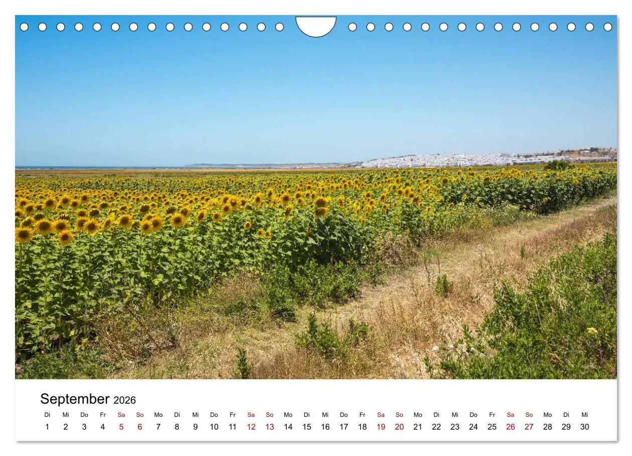 Bild: 9783457879894 | Andalusien - Landschaften rund um Conil de la Frontera...