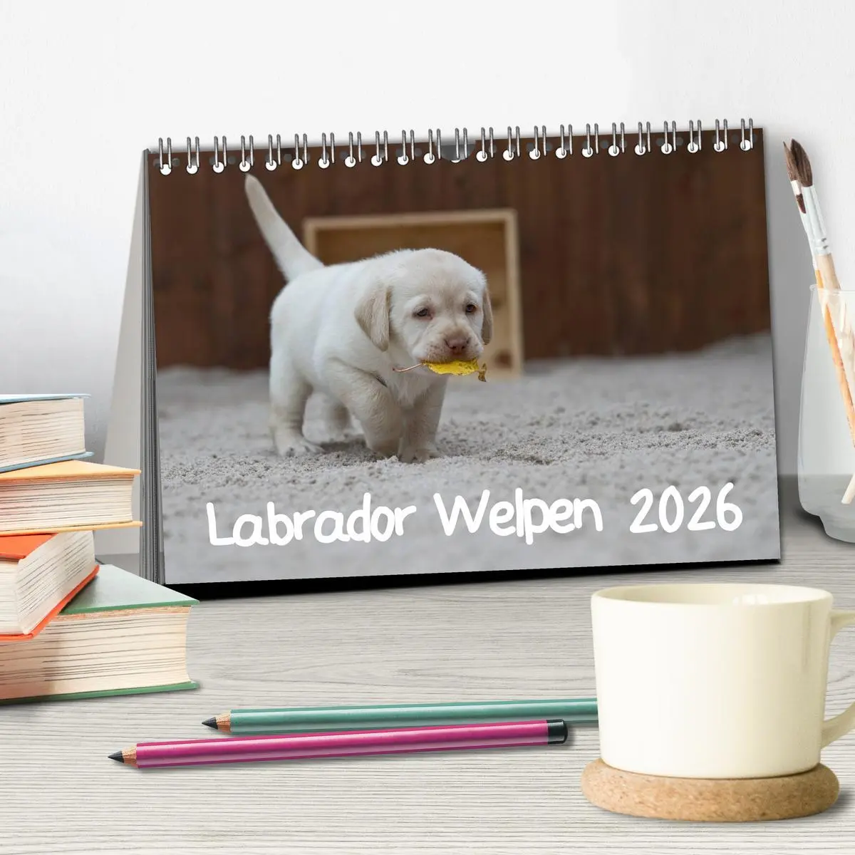 Bild: 9783516109894 | Labrador Welpen (Tischkalender 2026 DIN A5 quer), CALVENDO...