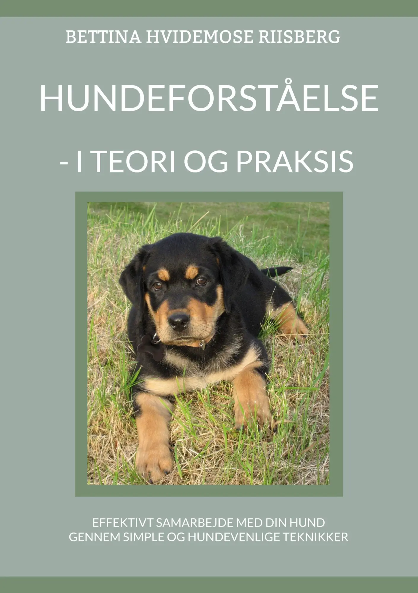 Cover: 9788743009894 | Hundeforståelse | - I teori og praksis | Bettina Hvidemose | Buch