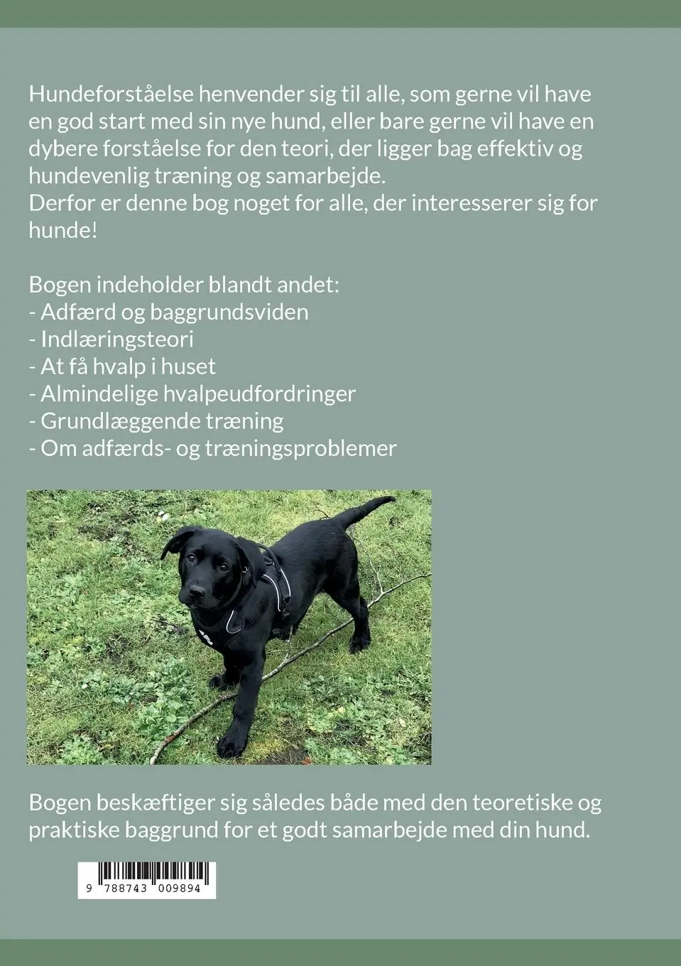Rückseite: 9788743009894 | Hundeforståelse | - I teori og praksis | Bettina Hvidemose | Buch