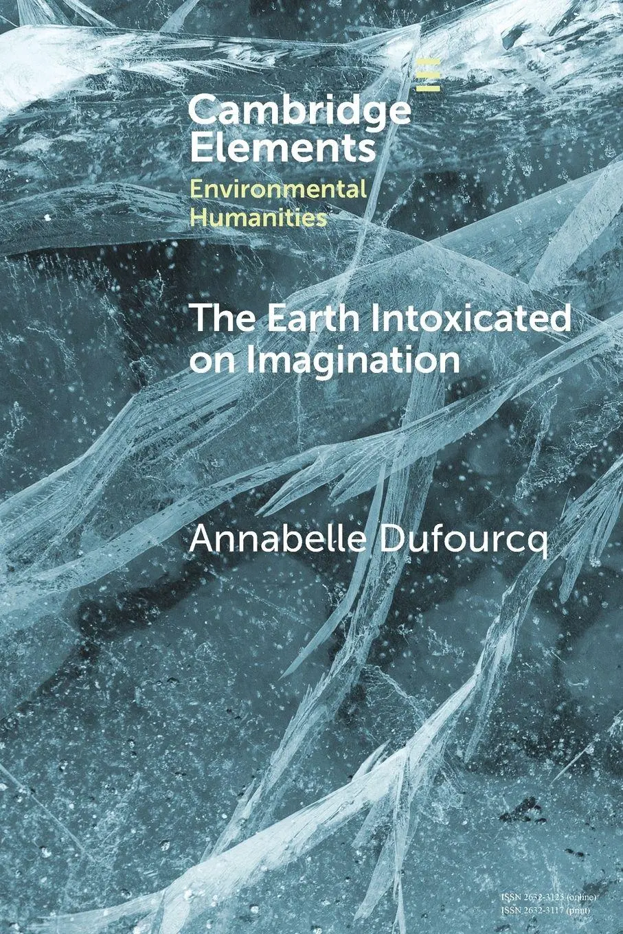 Cover: 9781009419994 | The Earth Intoxicated on Imagination | Annabelle Dufourcq | Buch
