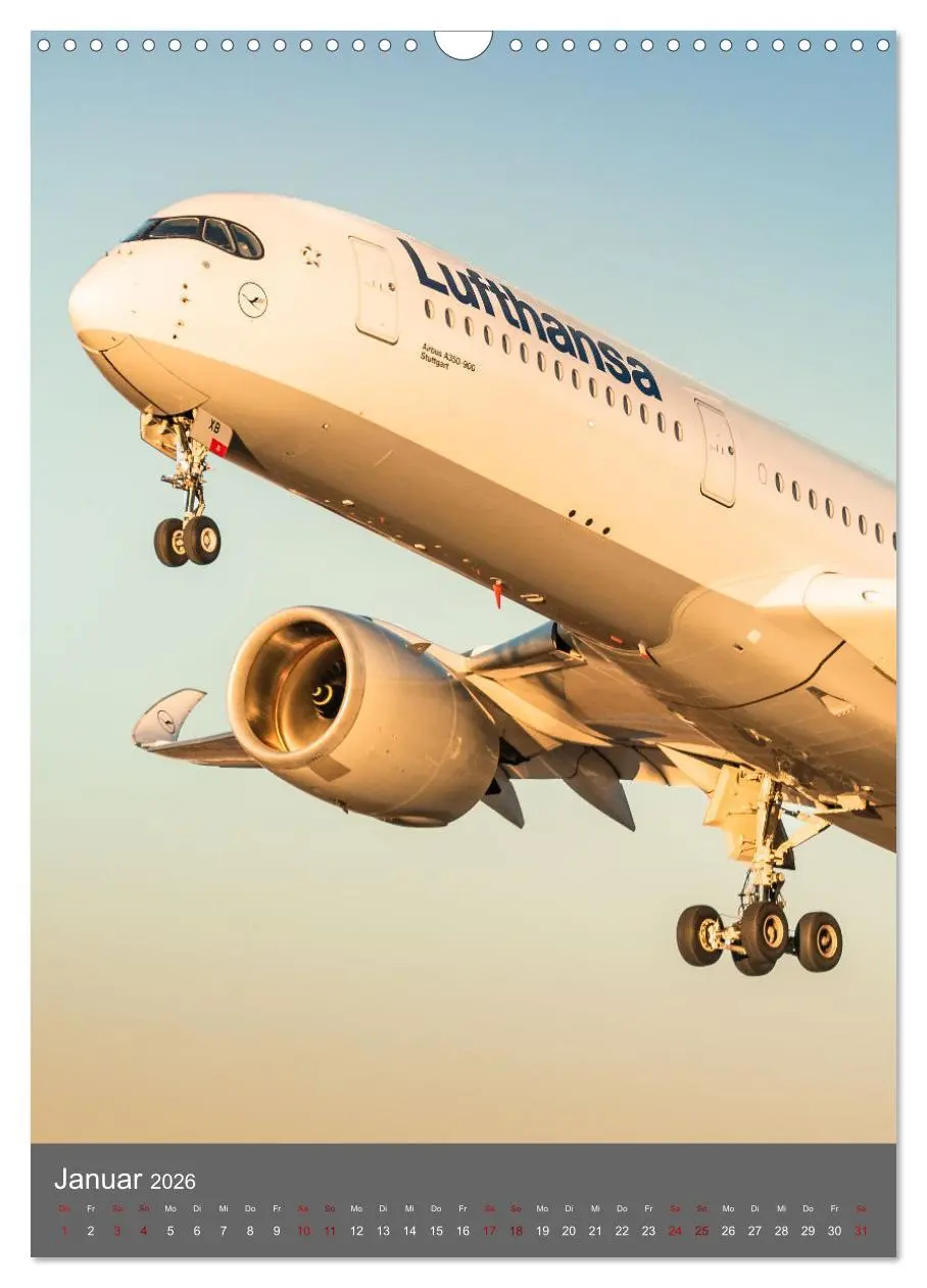 Bild: 9783516339994 | Flugzeuge aus aller Welt (Wandkalender 2026 DIN A3 hoch), CALVENDO...