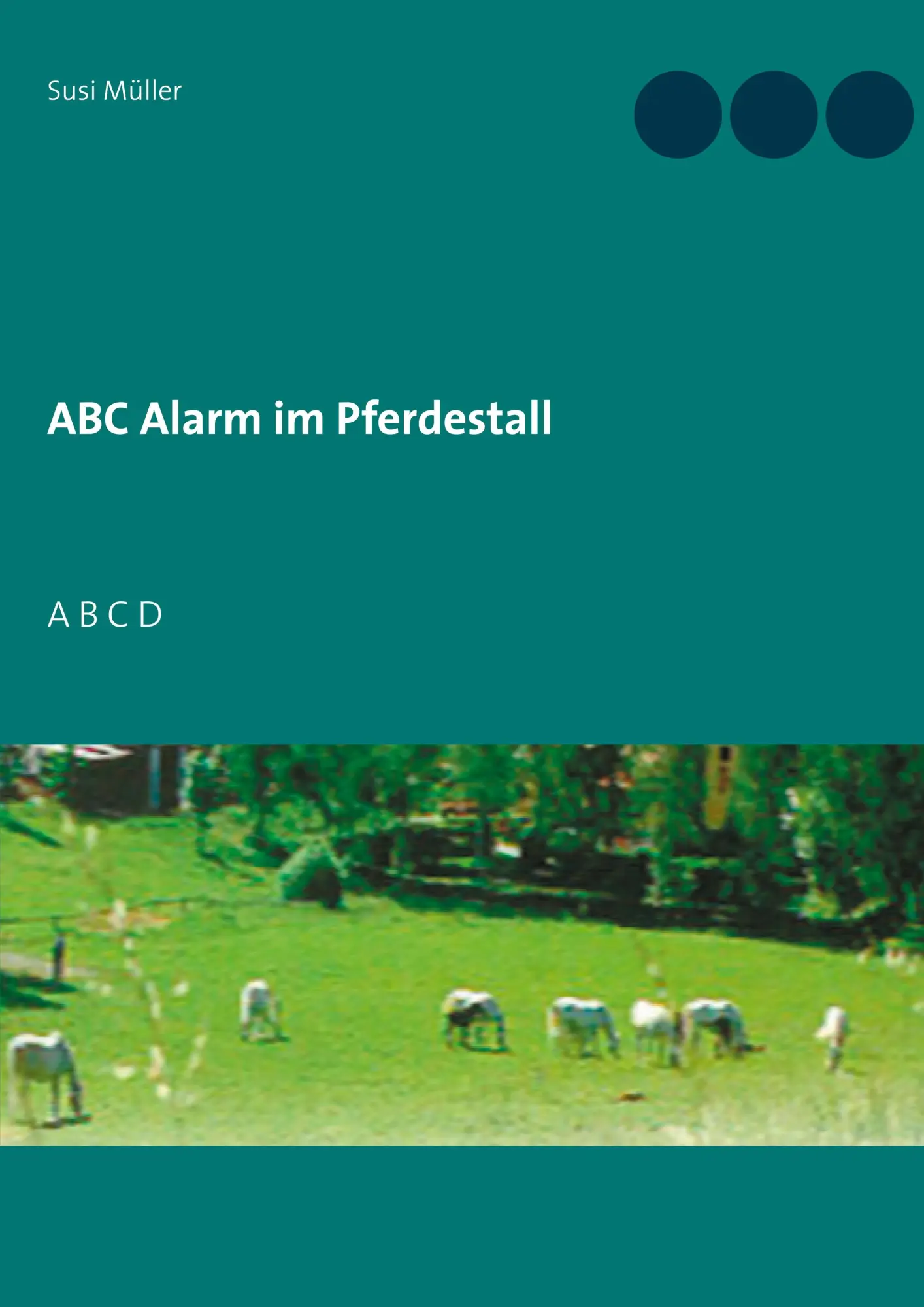 ABC Alarm im Pferdestall: A B C D