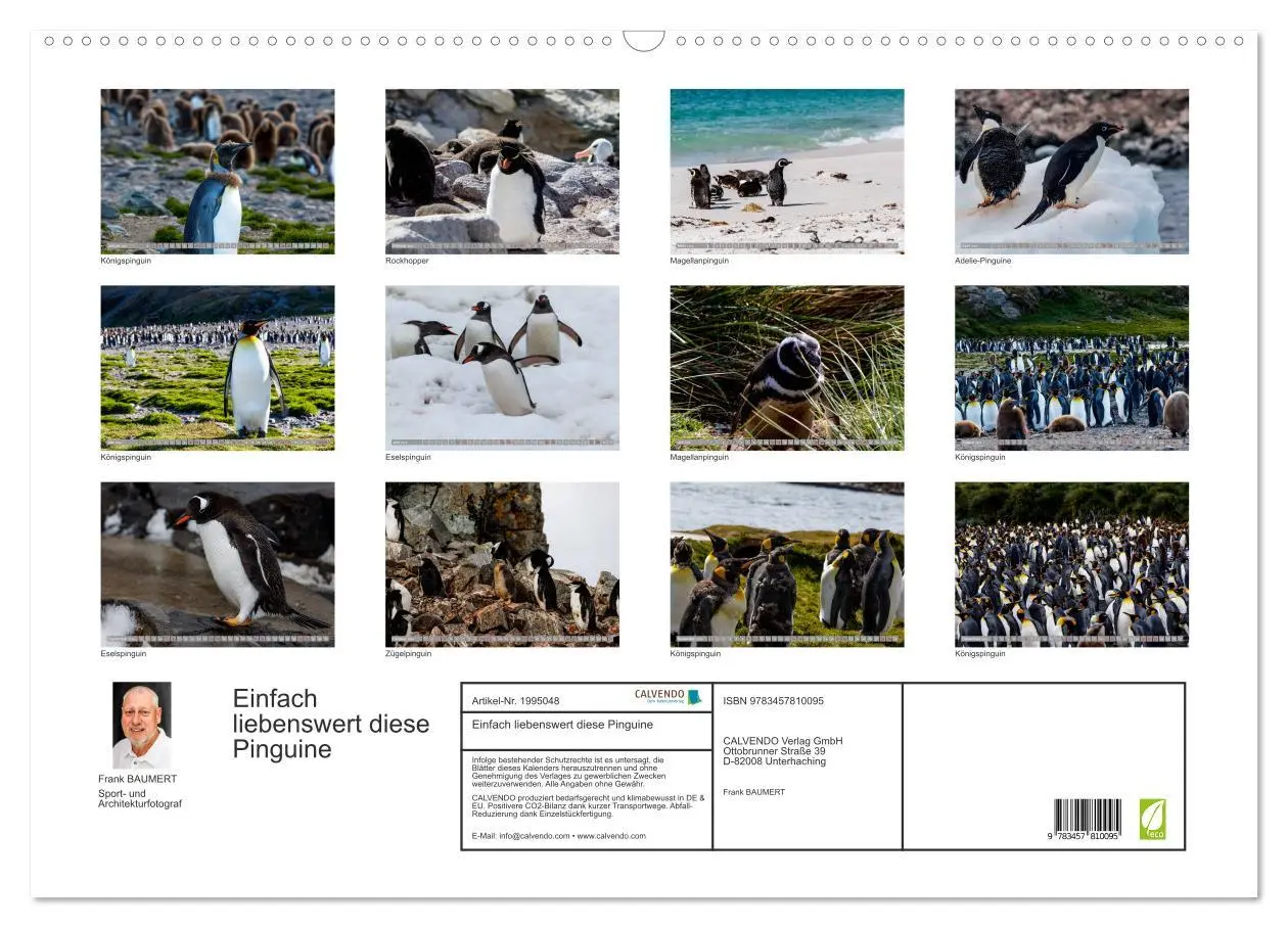 Bild: 9783457810095 | Einfach liebenswert diese Pinguine (Wandkalender 2026 DIN A2 quer),...