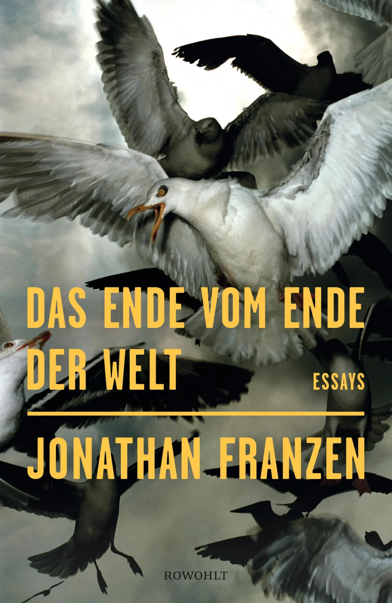 Cover: 9783498020095 | Das Ende vom Ende der Welt | Jonathan Franzen | Buch | 256 S. | 2019
