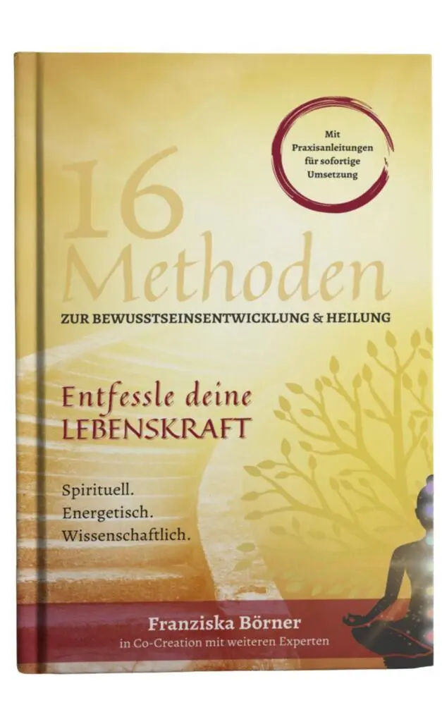 Bild: 9783991590095 | Entfessle deine Lebenskraft | Franziska Börner | Taschenbuch | 200 S.