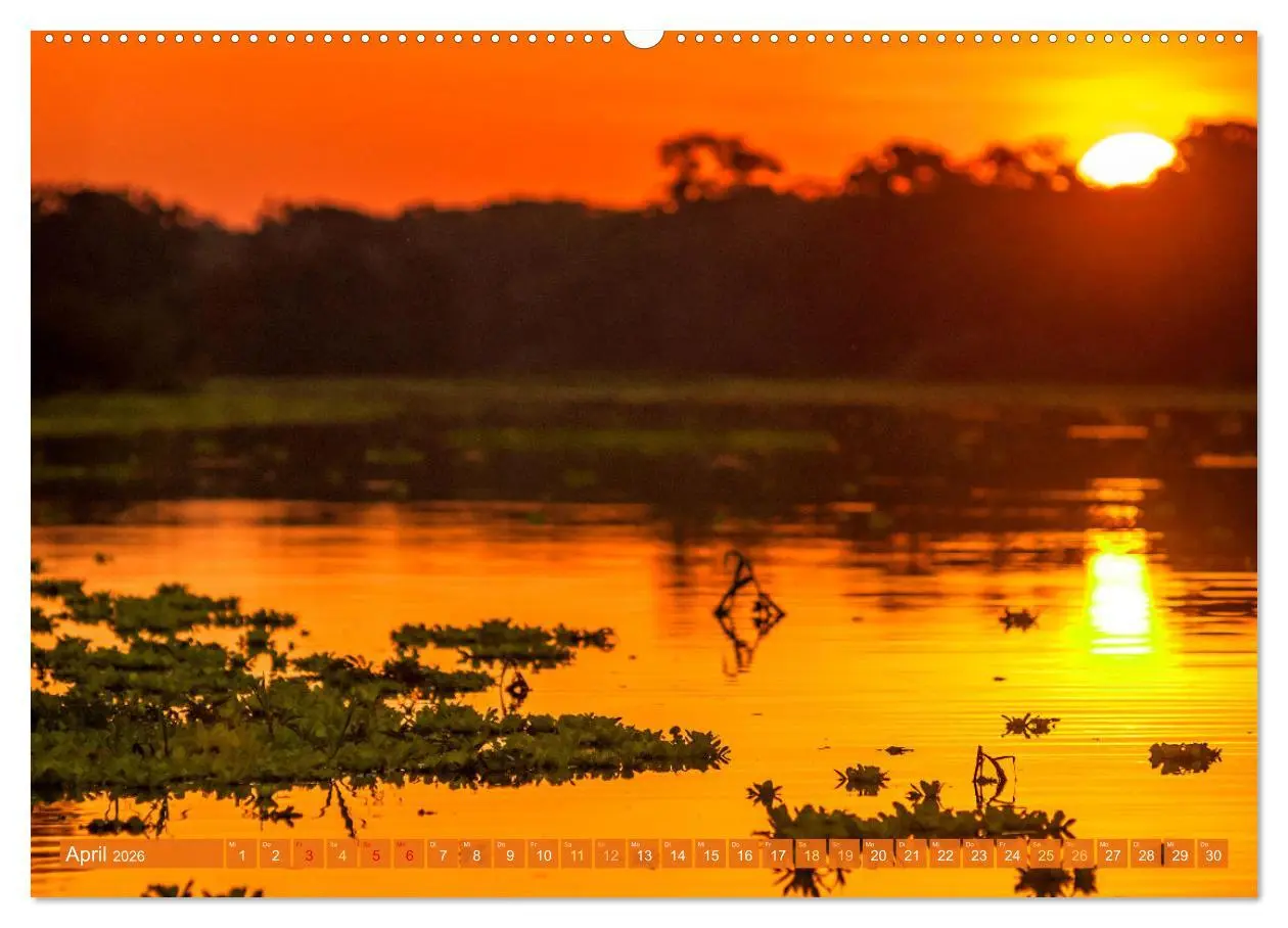 Bild: 9783457280195 | Der Amazonas: von den Anden zum Atlantik (Wandkalender 2026 DIN A2...