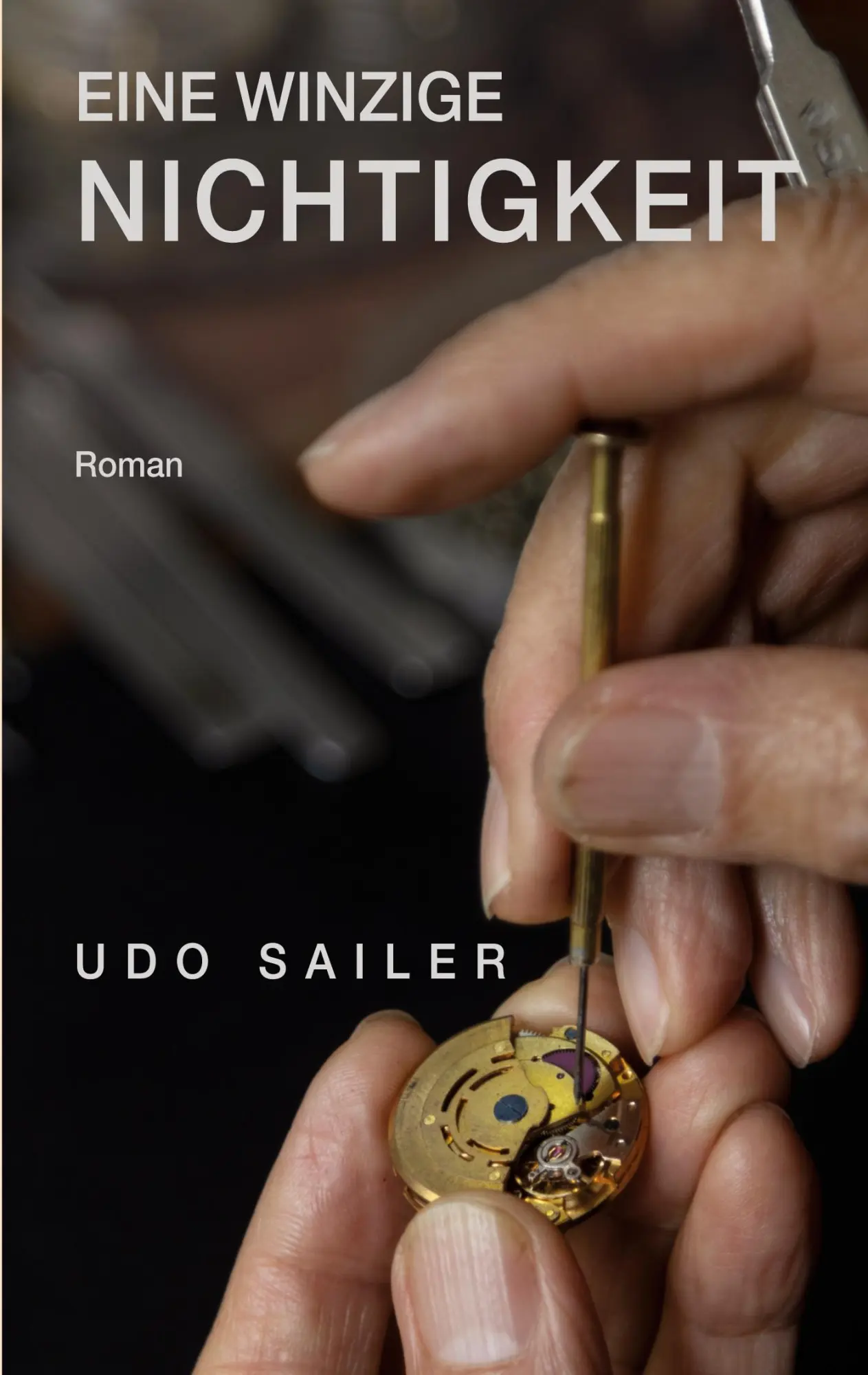 Cover: 9783842390195 | Eine winzige Nichtigkeit | Udo Sailer | Taschenbuch | 268 S. | Deutsch
