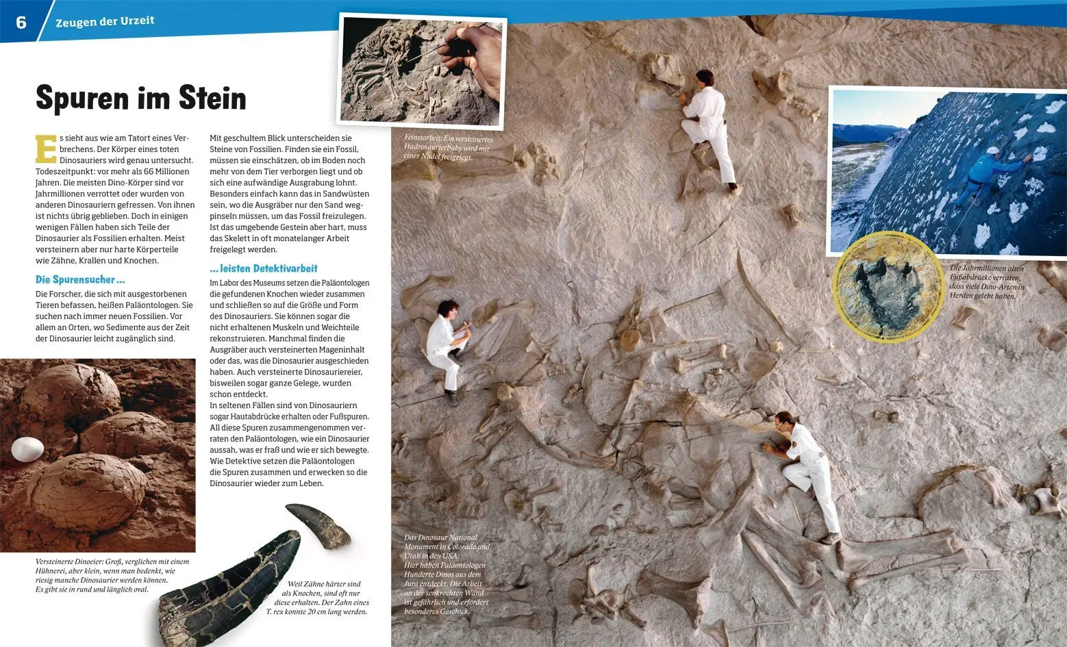 Bild: 9783788620295 | WAS IST WAS Band 15 Dinosaurier | Im Reich der Riesenechsen | Baur
