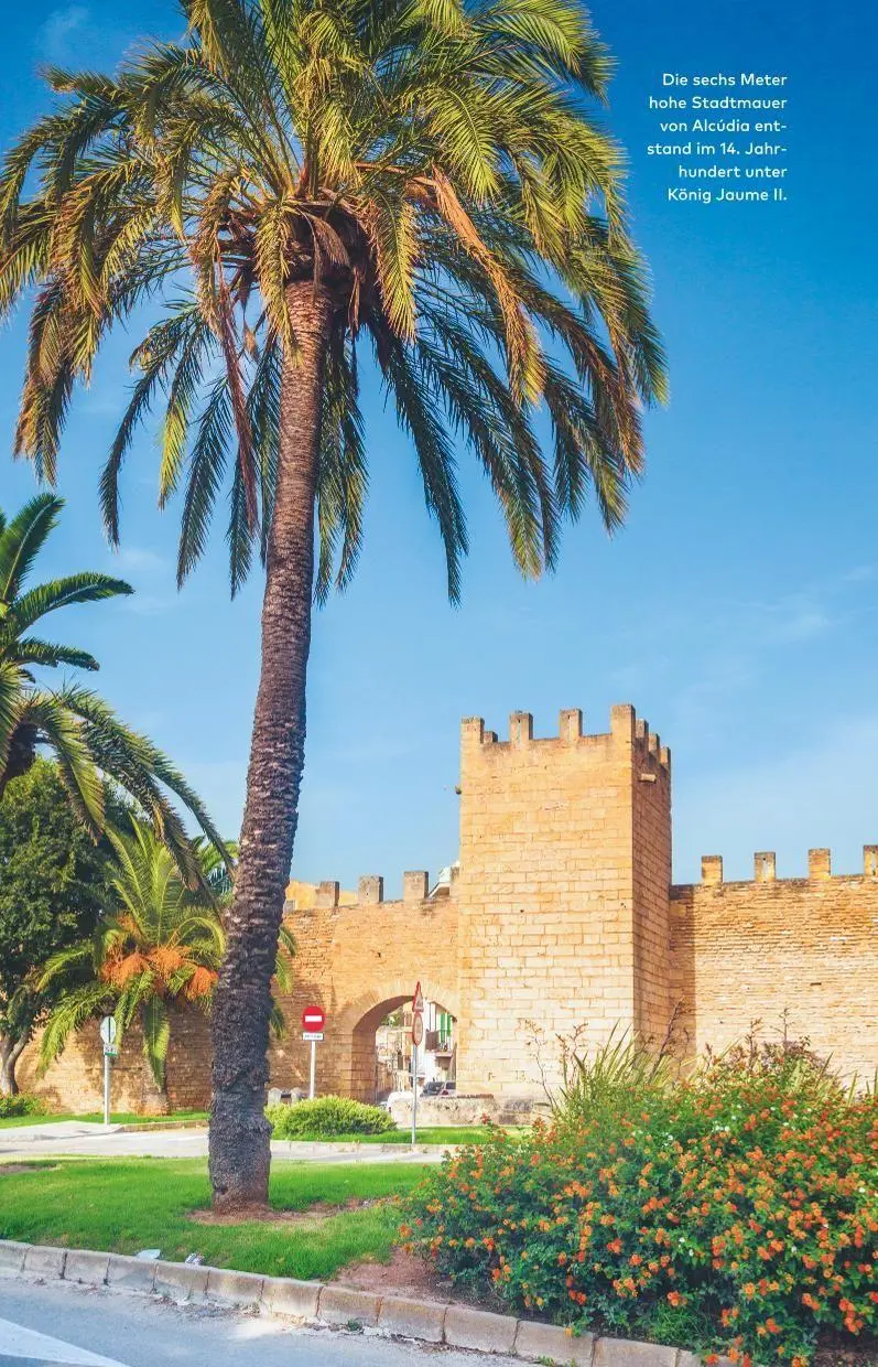 Bild: 9783846410295 | Bon dia, Mallorca | Christine Neubauer | Taschenbuch | 208 S. | 2026